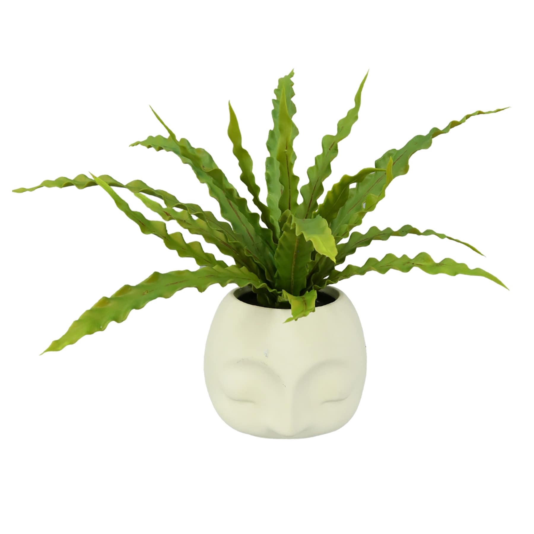 Fern in Face Pot, 12.5"