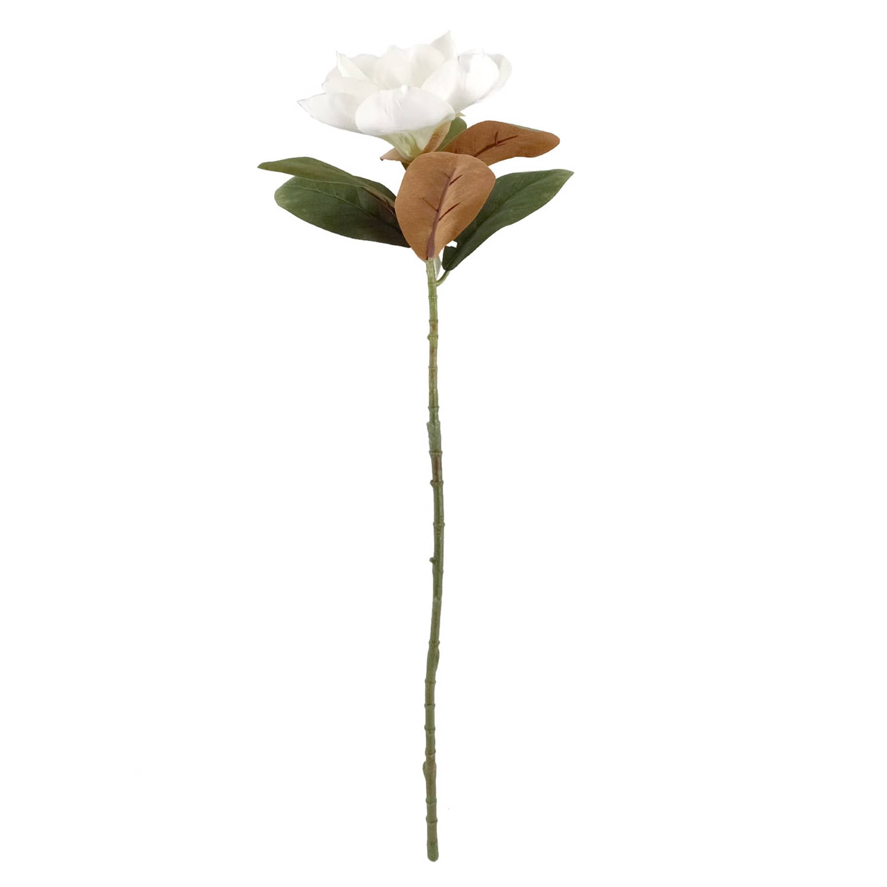 White Magnolia Floral Stem, 29.5"