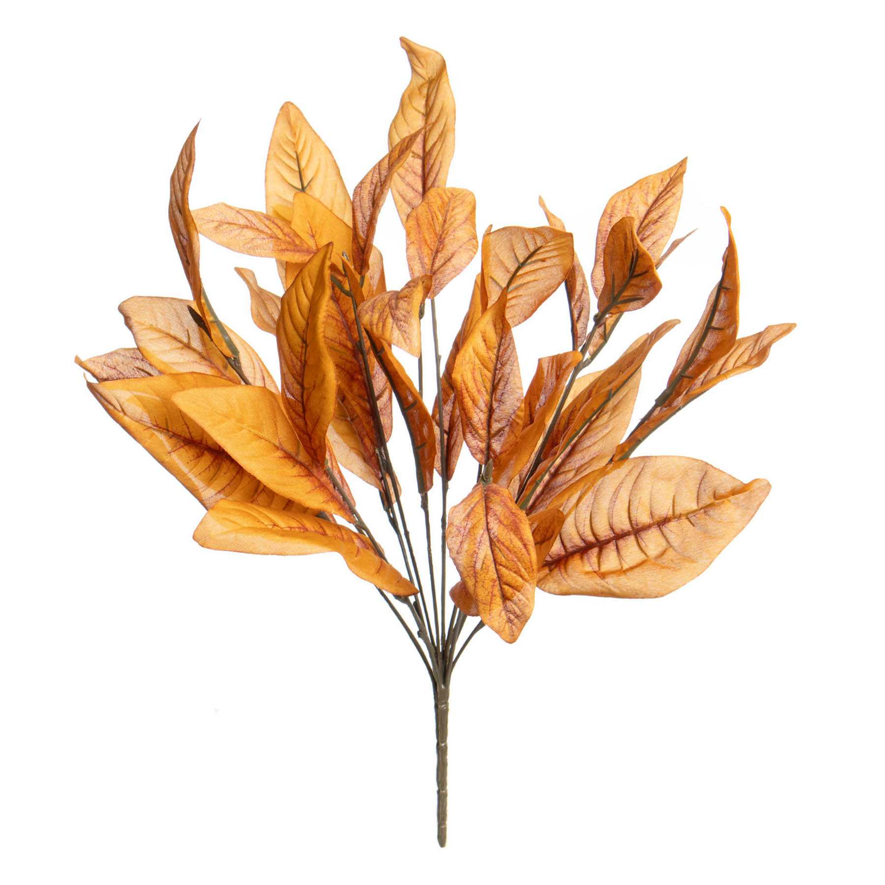 Orange Magnolia Leaf Bush, 19"
