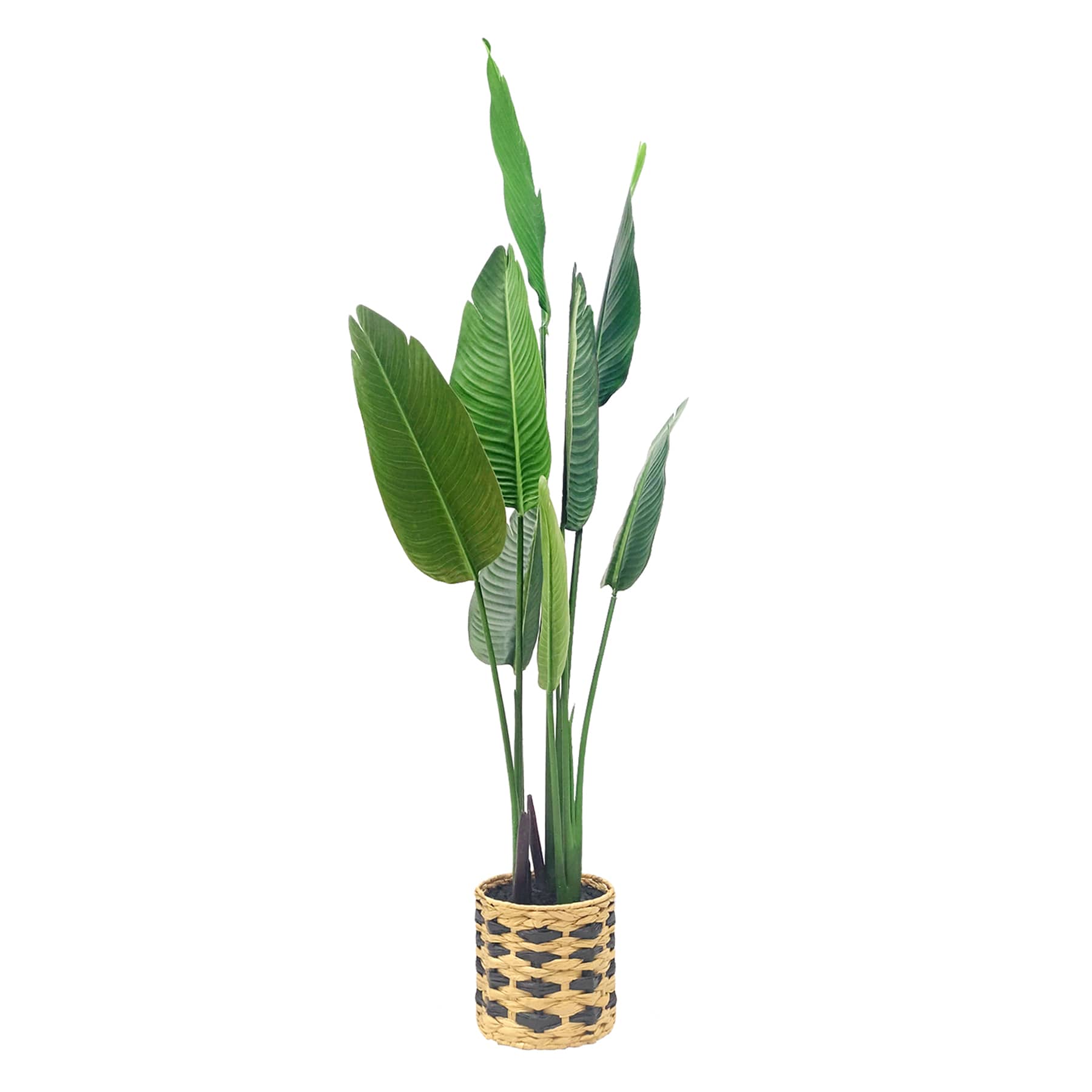 Tracey Boyd Tropical Plant in Basket, 60"