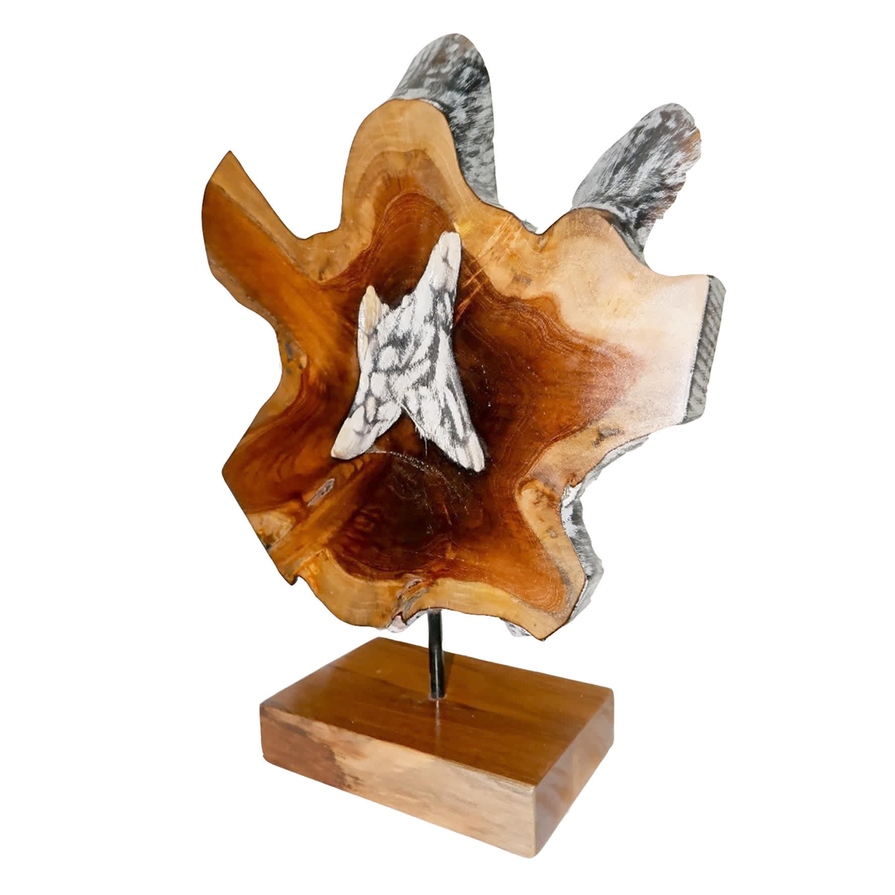 Teak Burn Starlin Sculpture, 20"