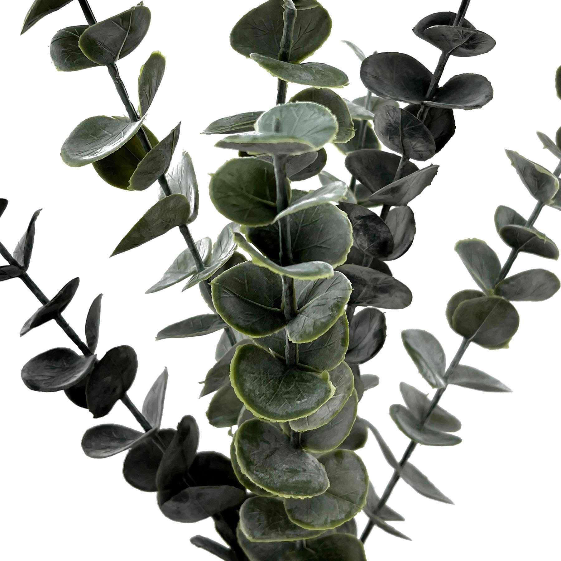 Eucalyptus Spray, 23"