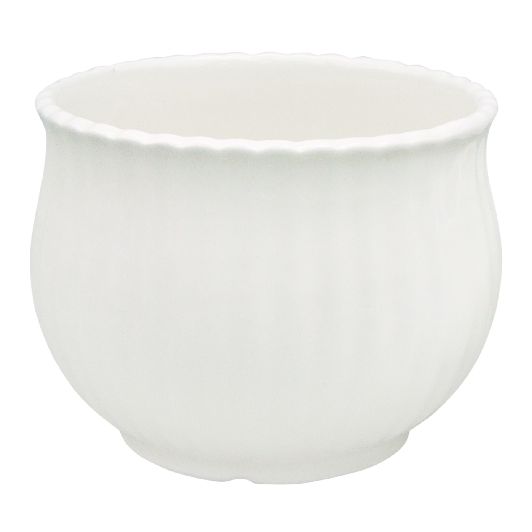 Providence Indoor White Cabbage Ceramic Pot, Large