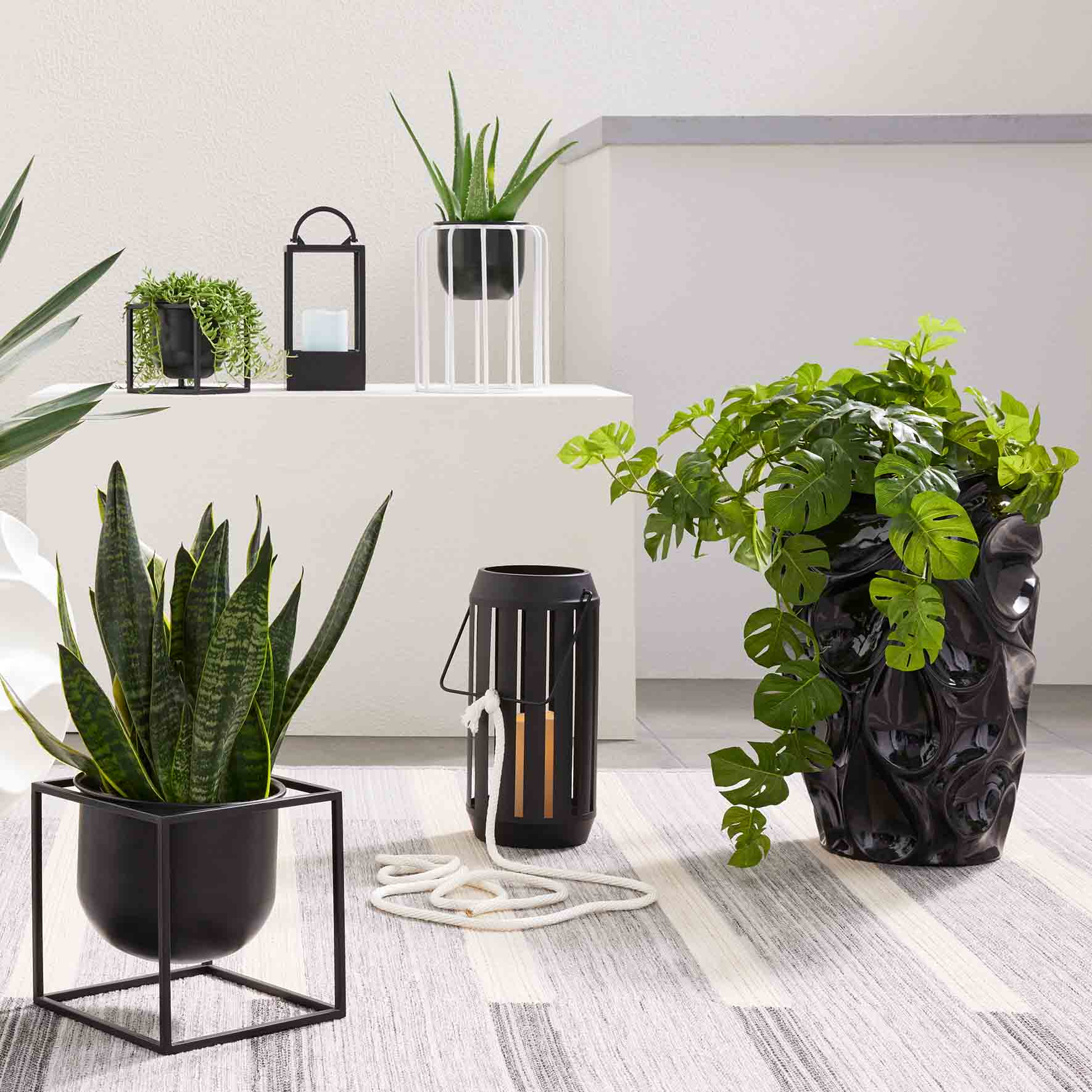 Laila Ali Black Metal Outdoor Lantern, Medium