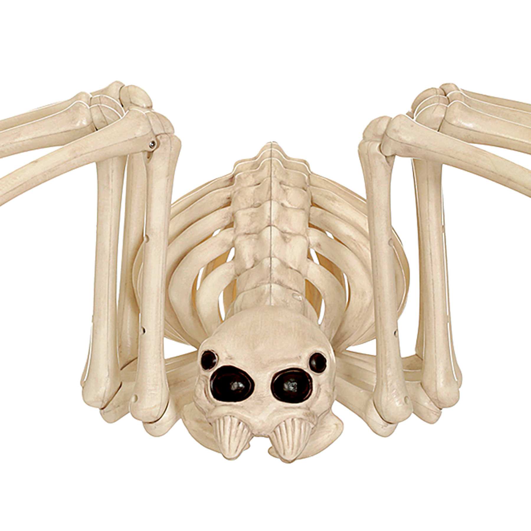 Halloween Spider Skeleton, 40.5"