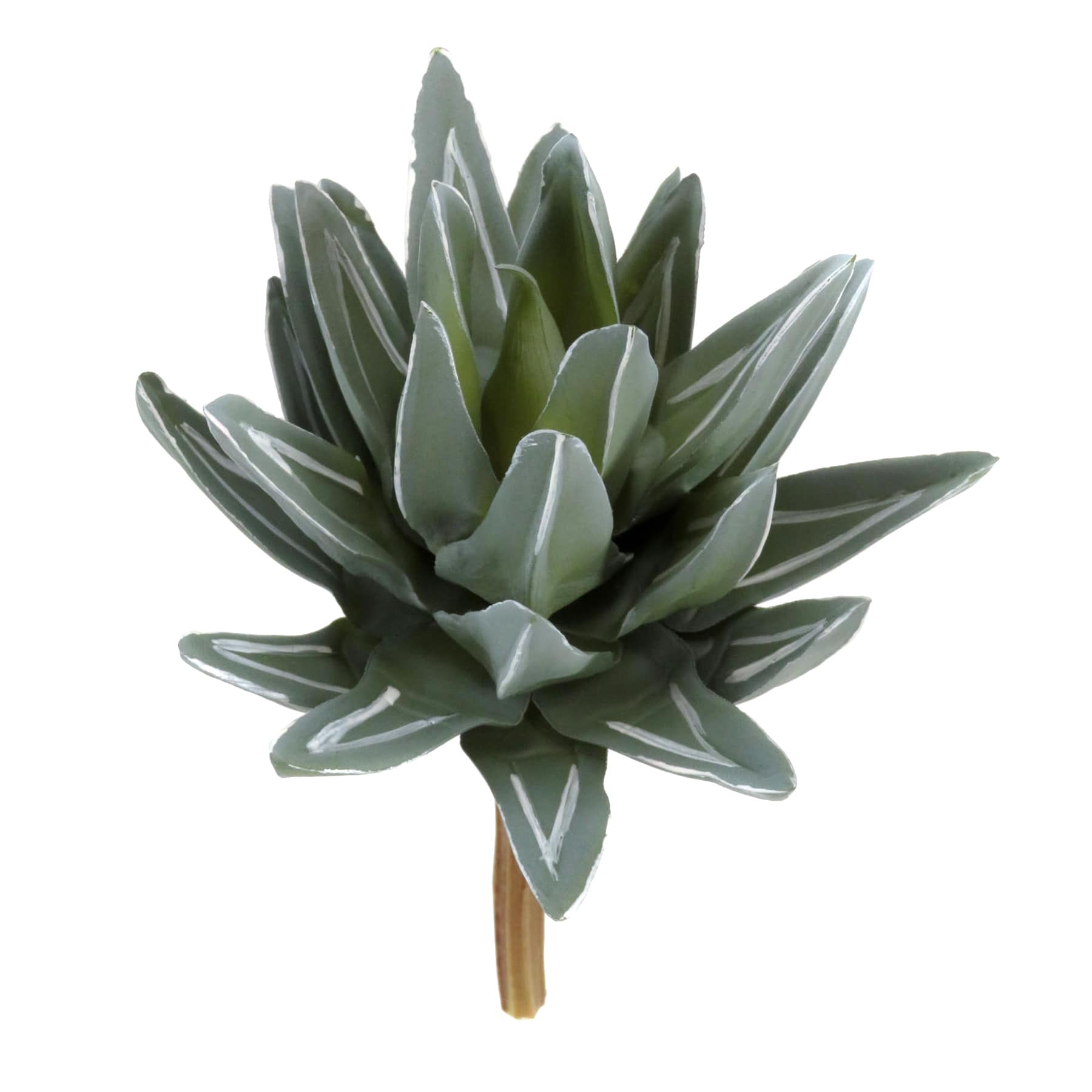 Green Aloe Pick, 8.5"