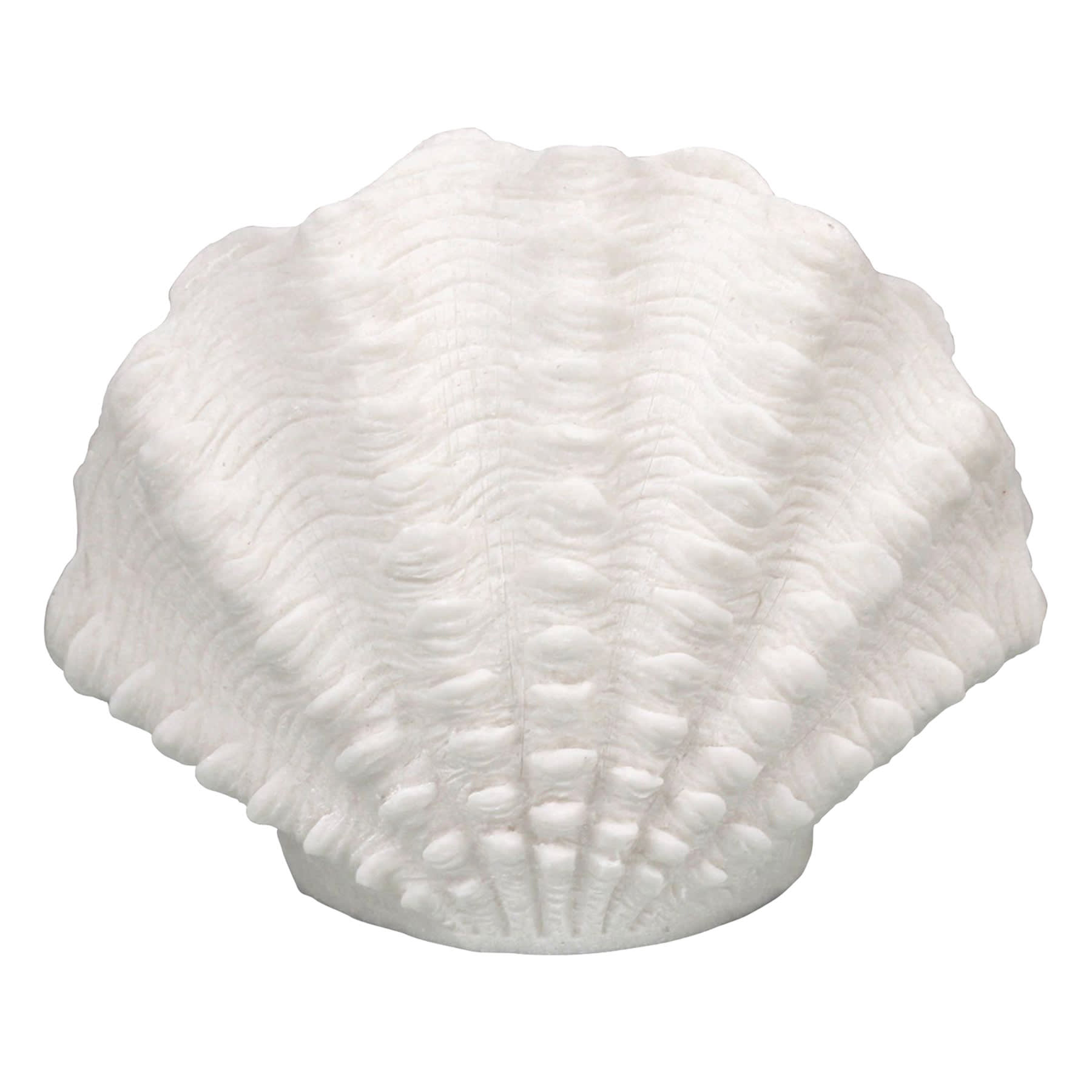Ty Pennington Scallop Sandstone Outdoor LED Garden Statue, 10"