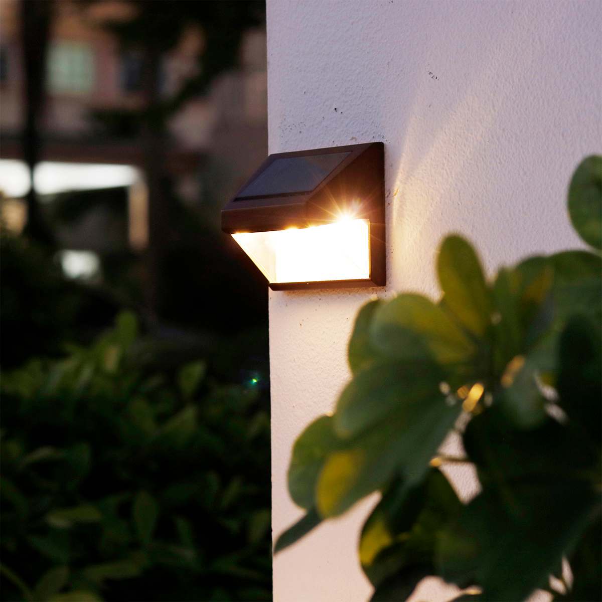 6-Lumen Solar Brown Fence Light