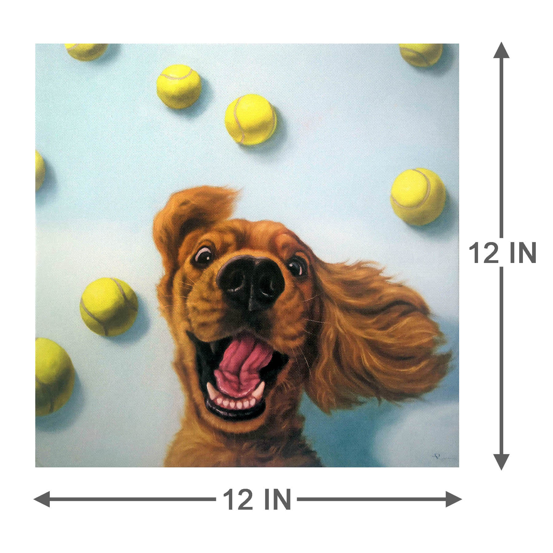 Dog with Balls Canvas Wall Art, 12"
