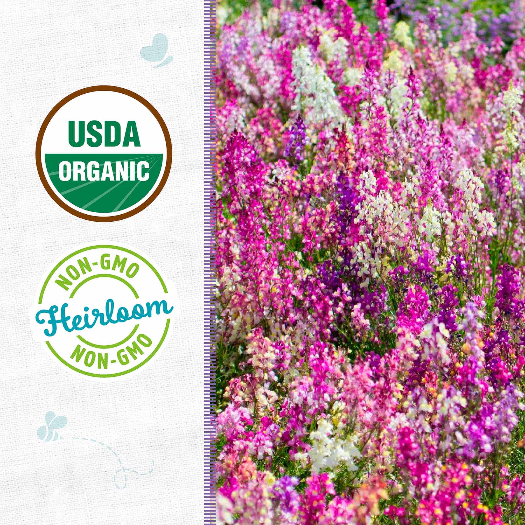 Back to Roots Heirloom Seeds, Linaria Fairy Bouquet