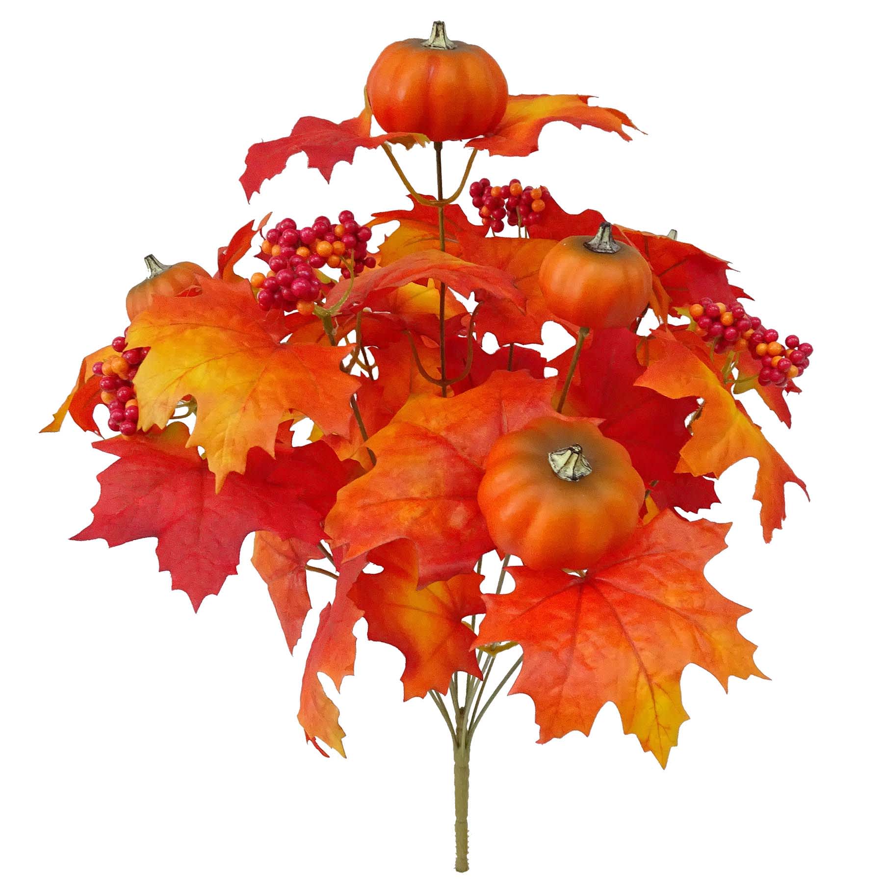 Maple & Pumpkin Mix Bush