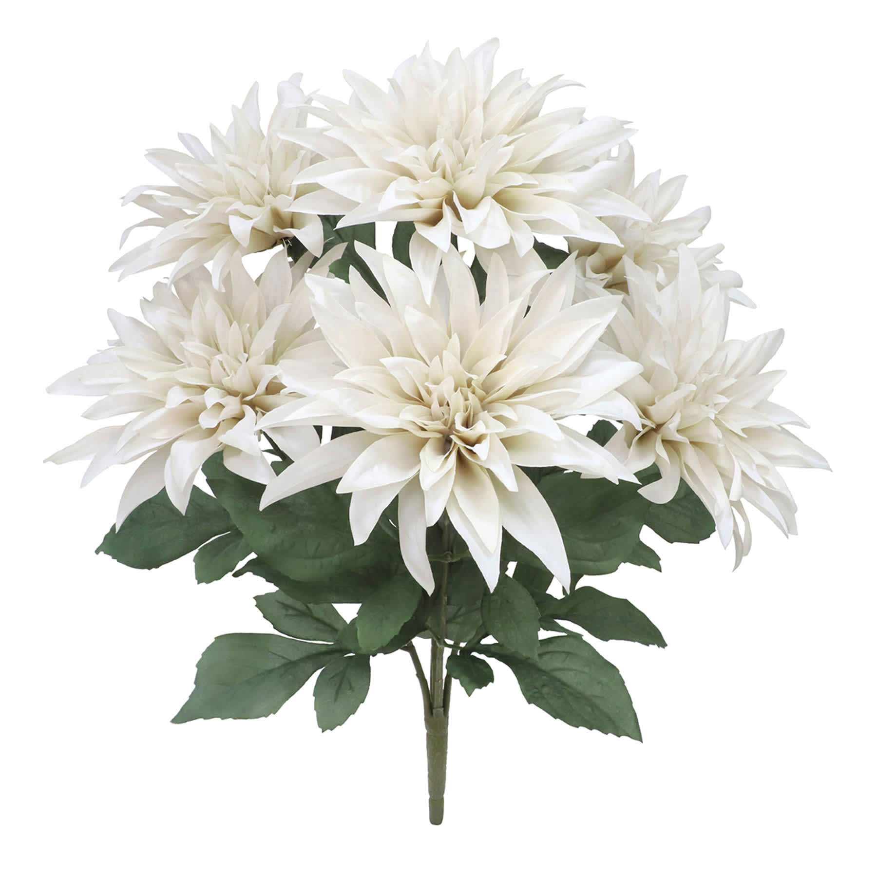 White Dahlia Bush, 18"