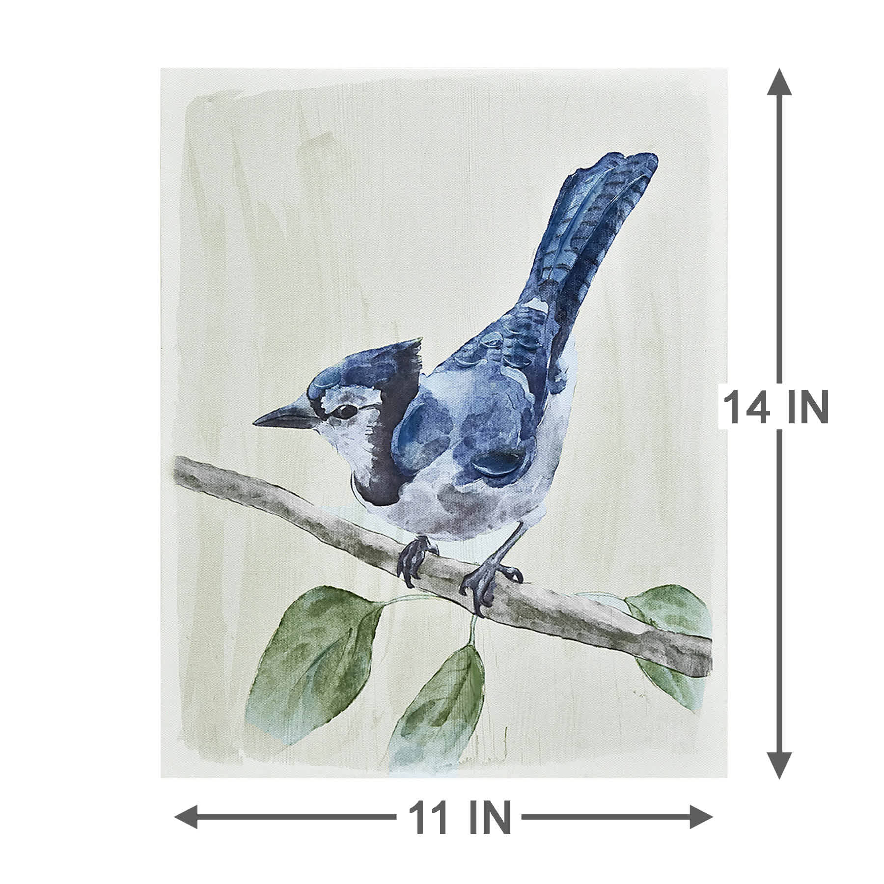 Providence Bird Canvas Wall Art, 11x14