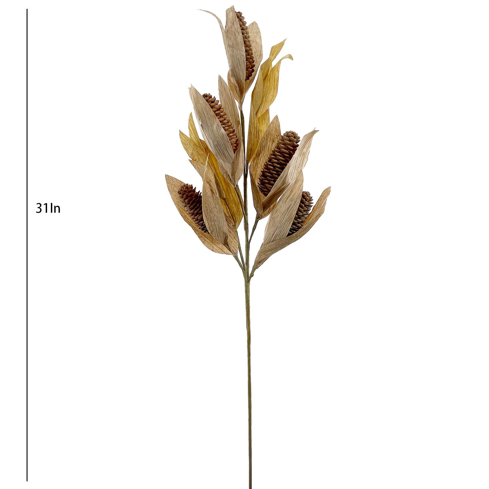 Corn Stem, 31"
