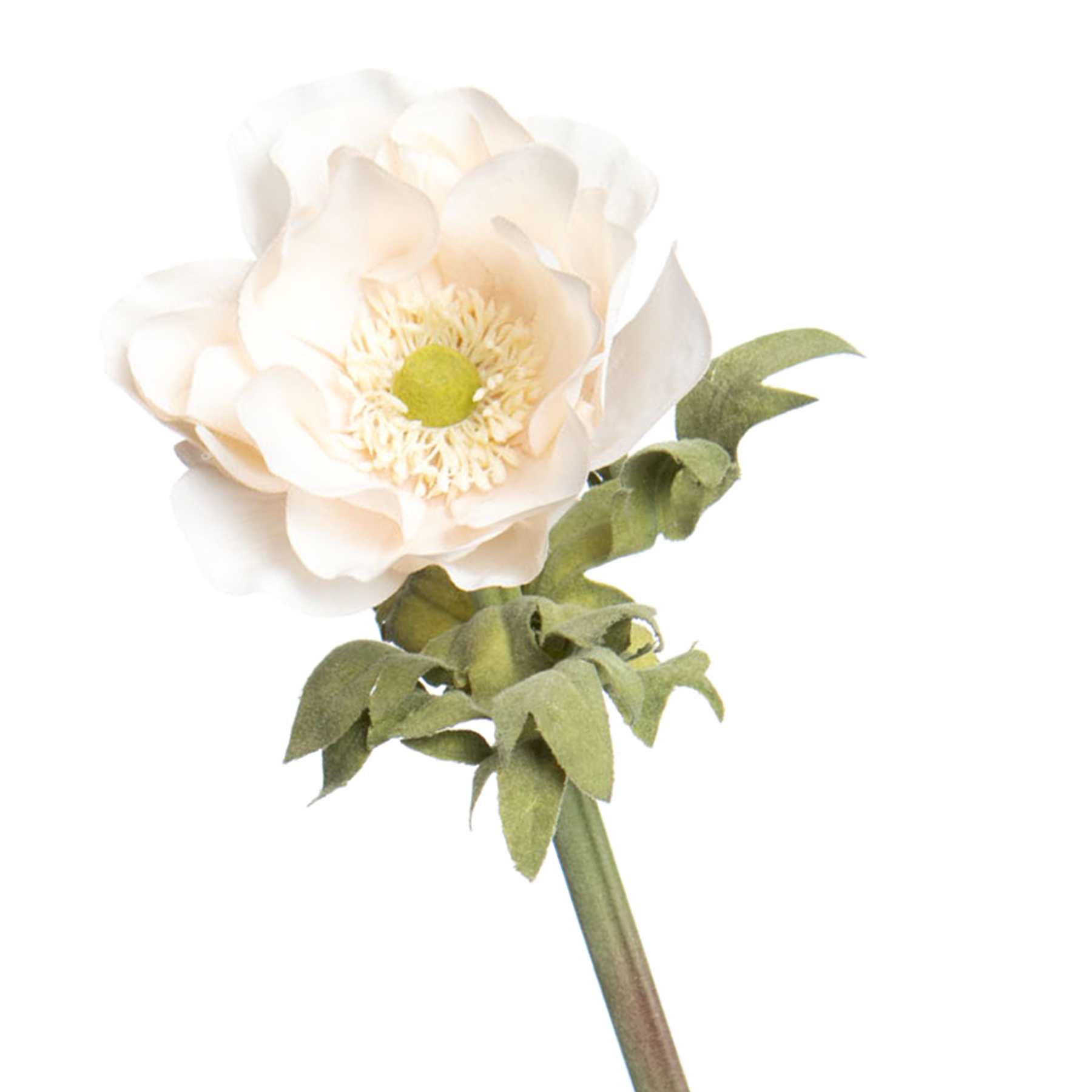 Willow Crossley White Anemone Floral Stem, 17"