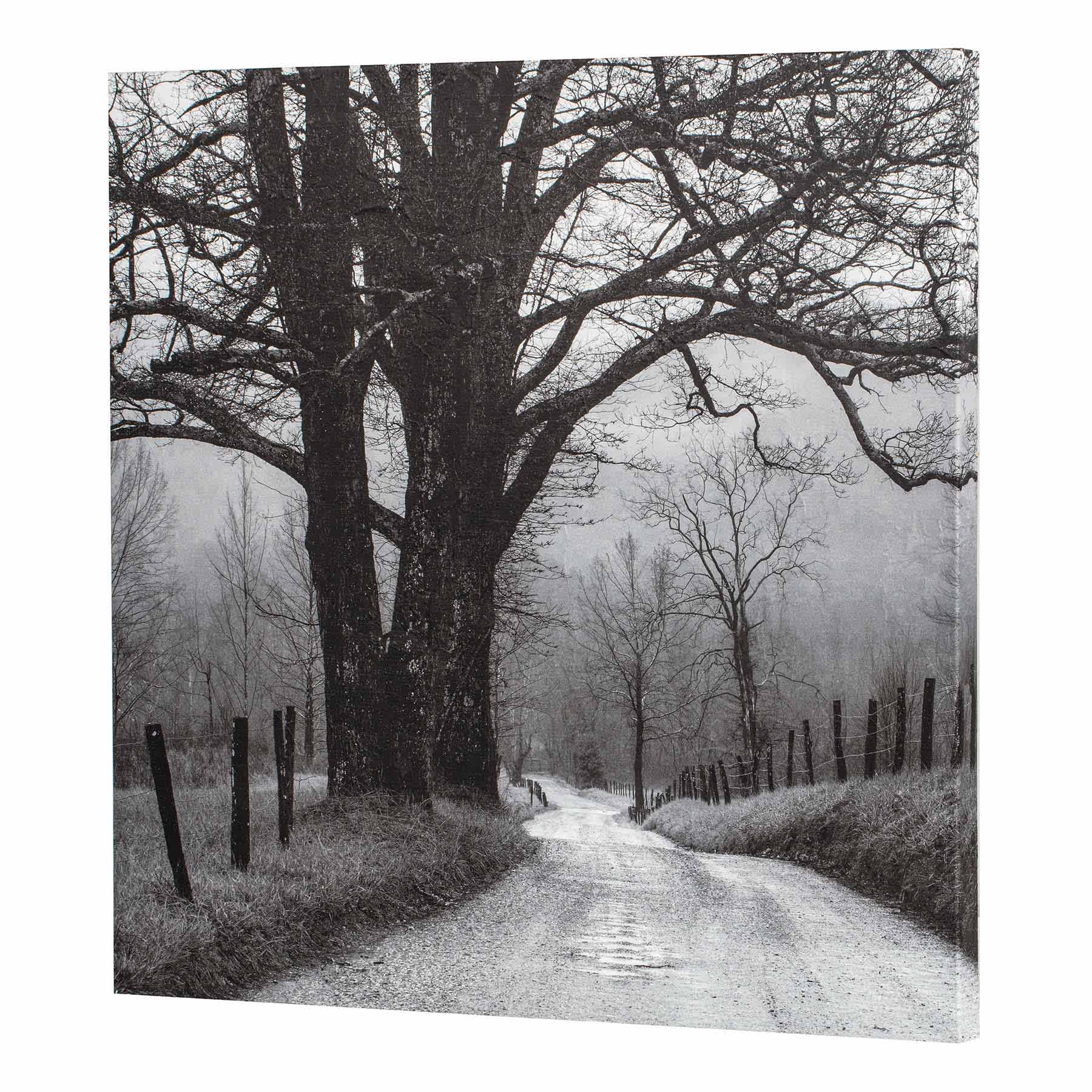 Black Tree Road Canvas Wall Art, 30"
