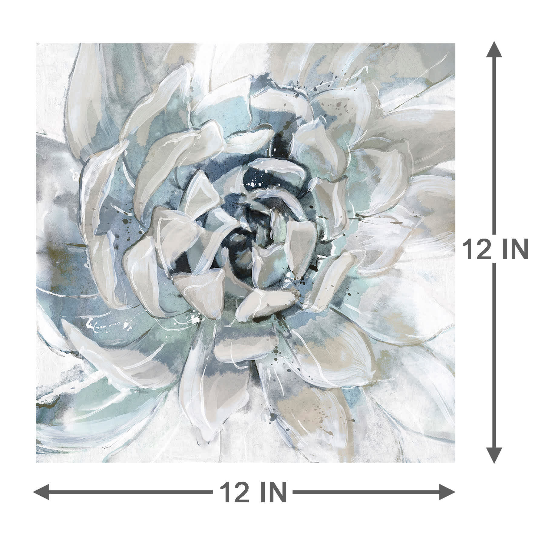 Cereus Aeonium Canvas Wall Art, 12"