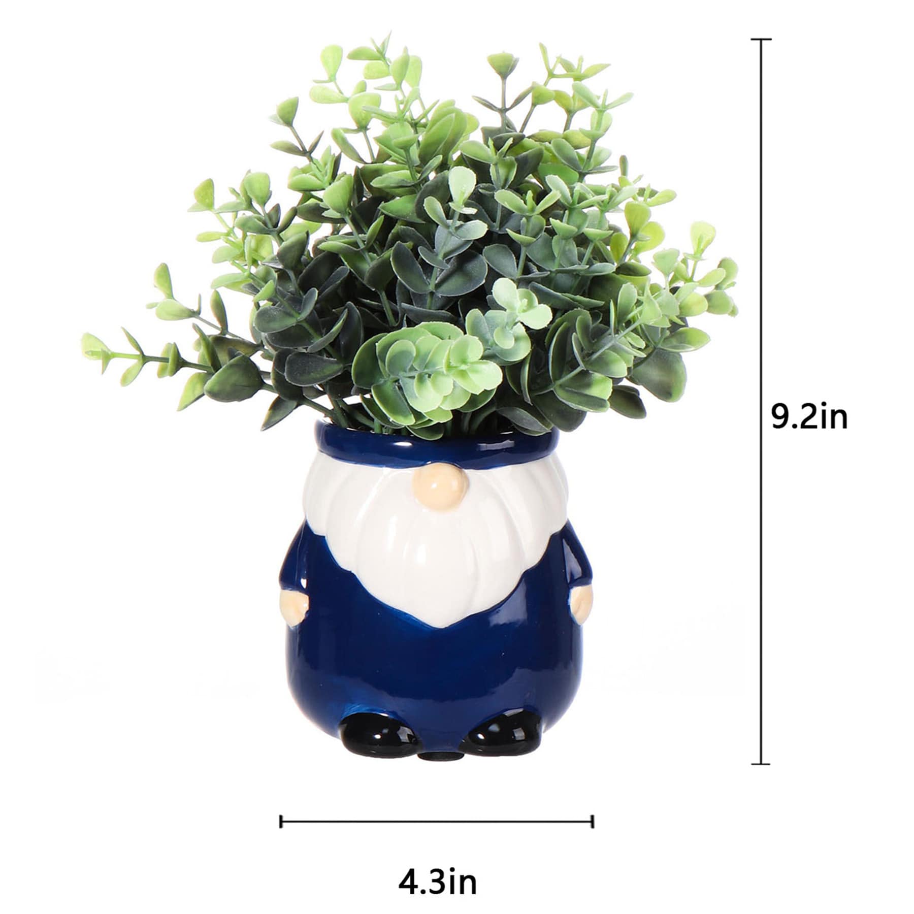Eucalyptus in Blue Gnome Pot