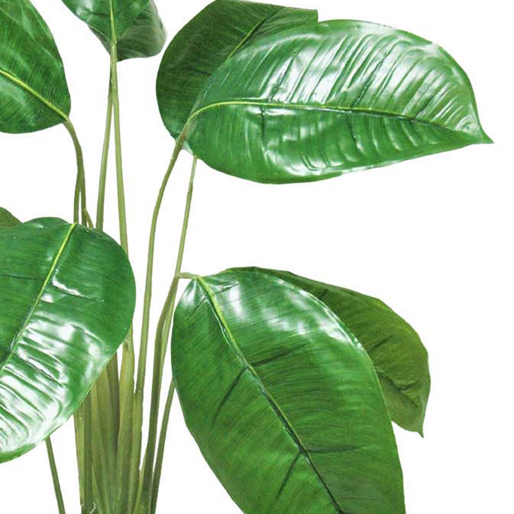 Split-Leaf Plant in Layered Ceramic Pot, 36"