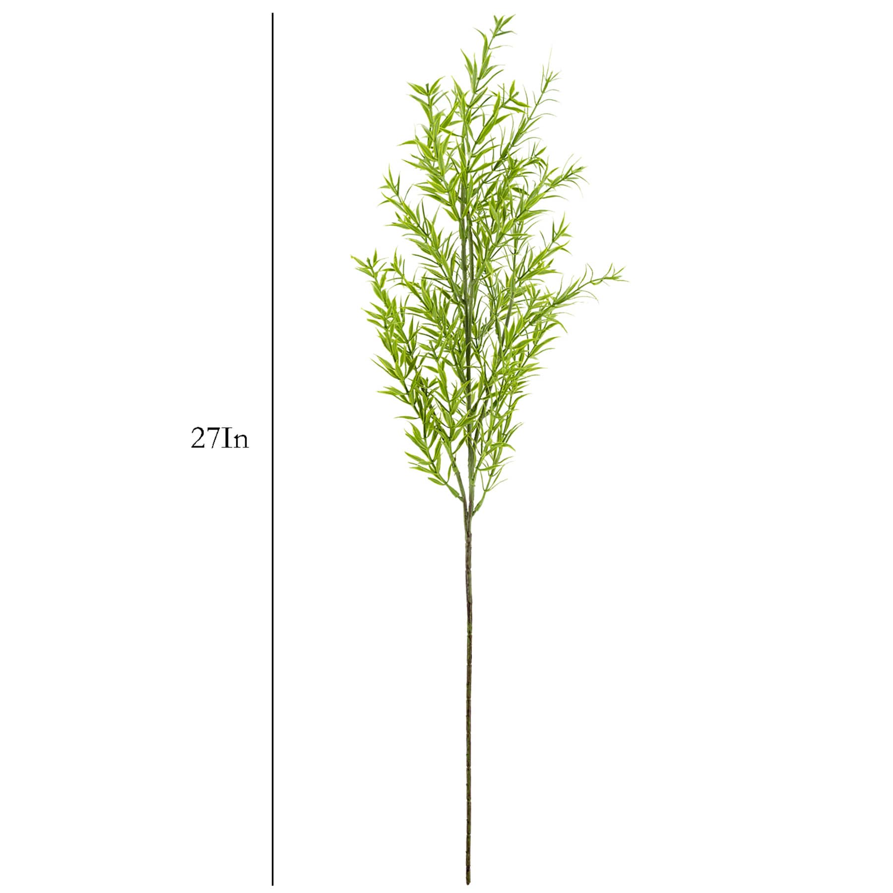 Dill Stem, 27"