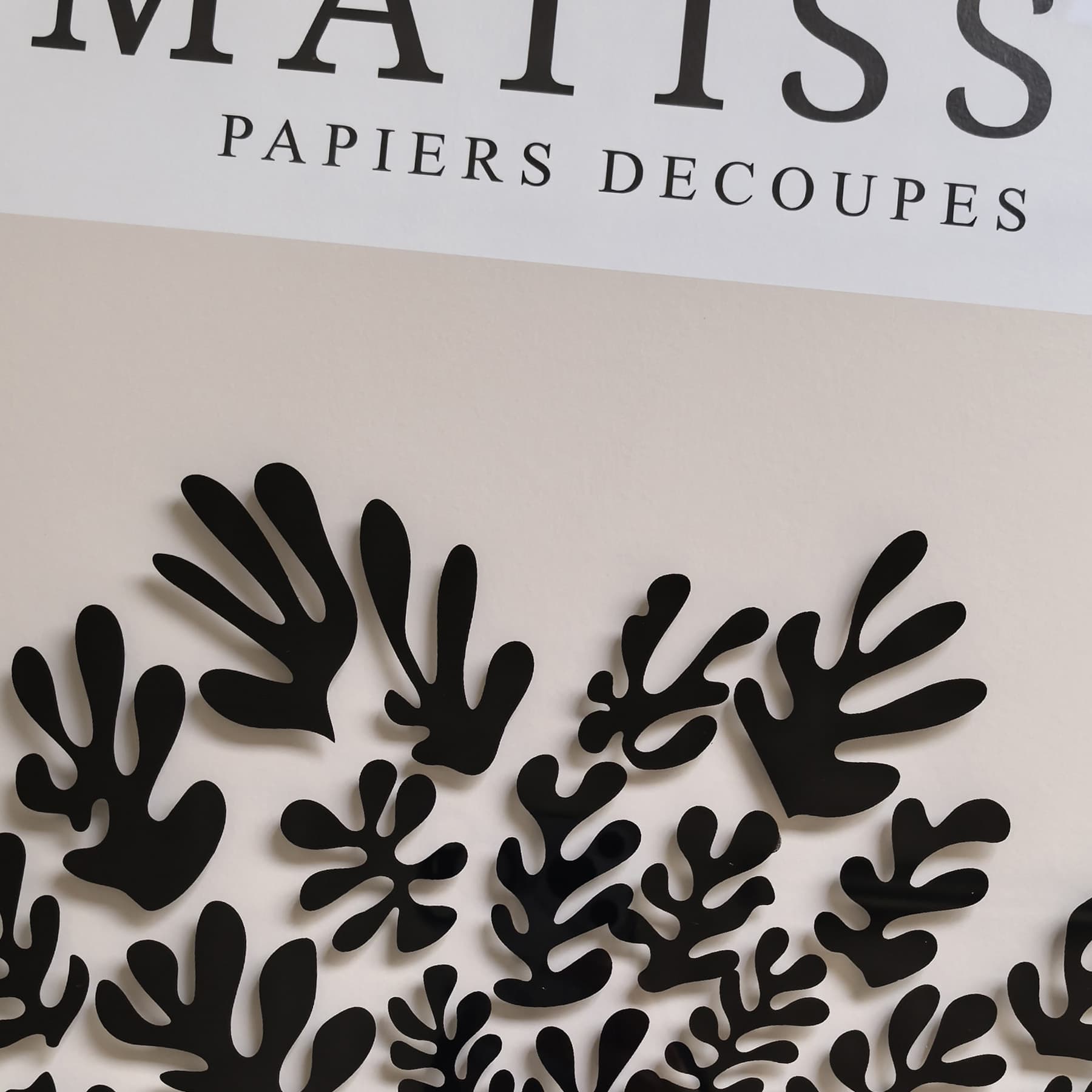Framed Black Matisse Poster Wall Art, 19x25