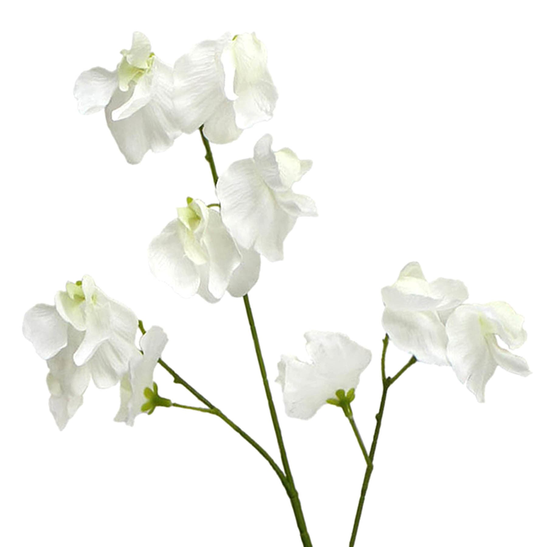 Willow Crossley White Real Feel Pea Flower Spray, 23.6"