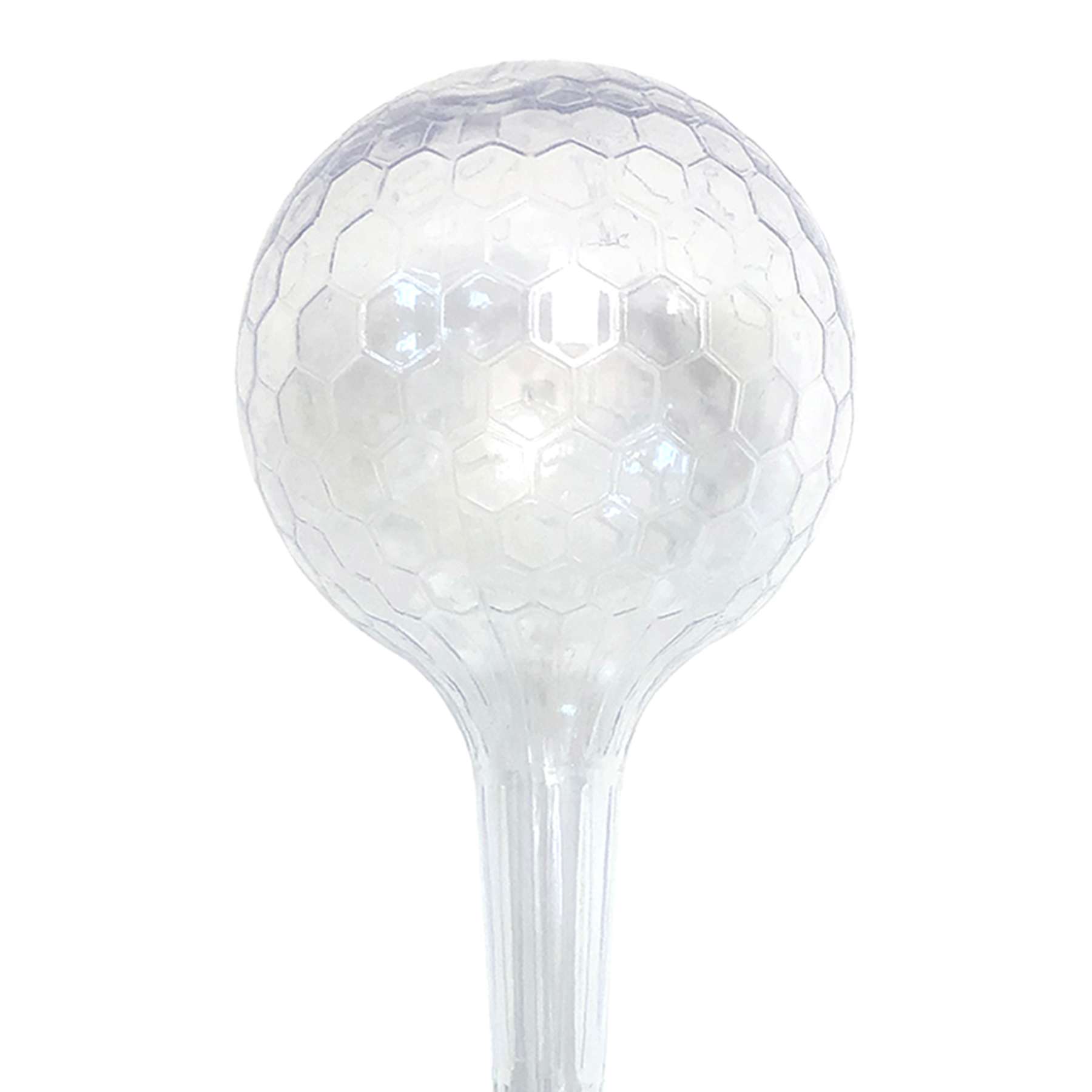 Garden Watering Globe, Clear