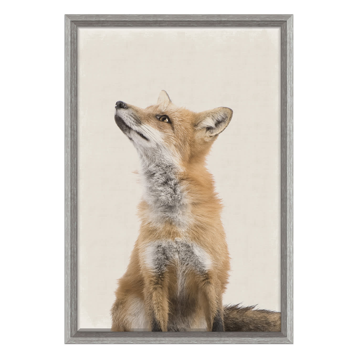 Wondering Fox Framed Canvas, 26x18