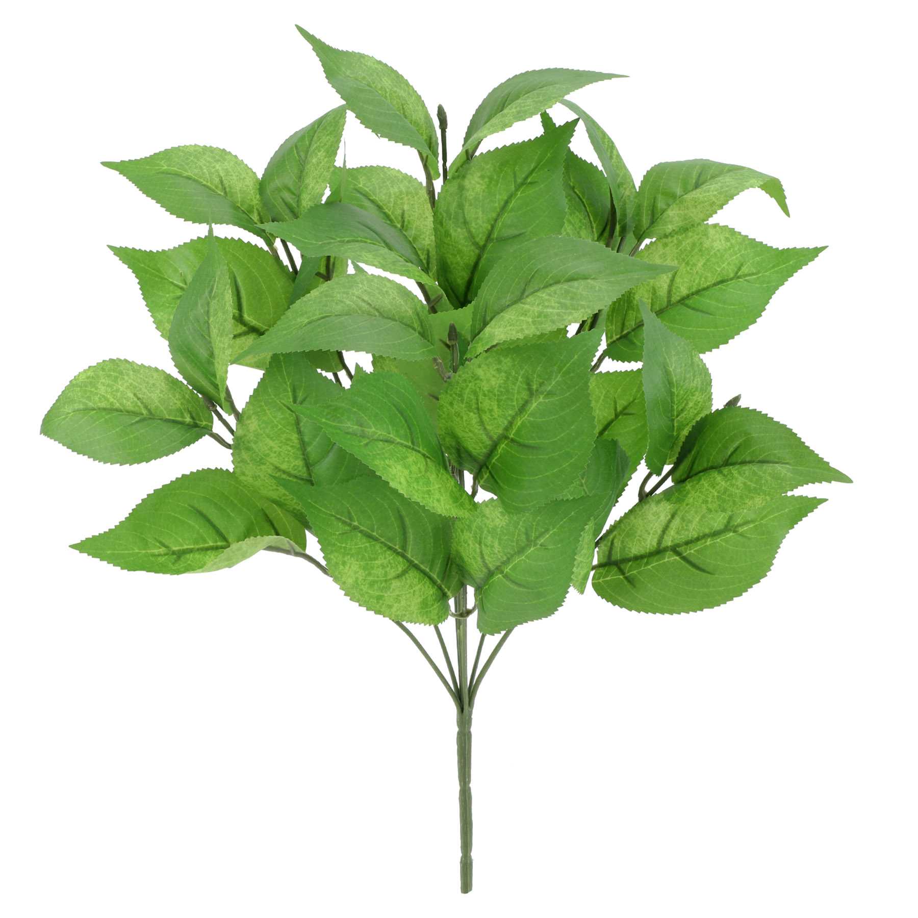 Cherry Leaves Bush, 18"