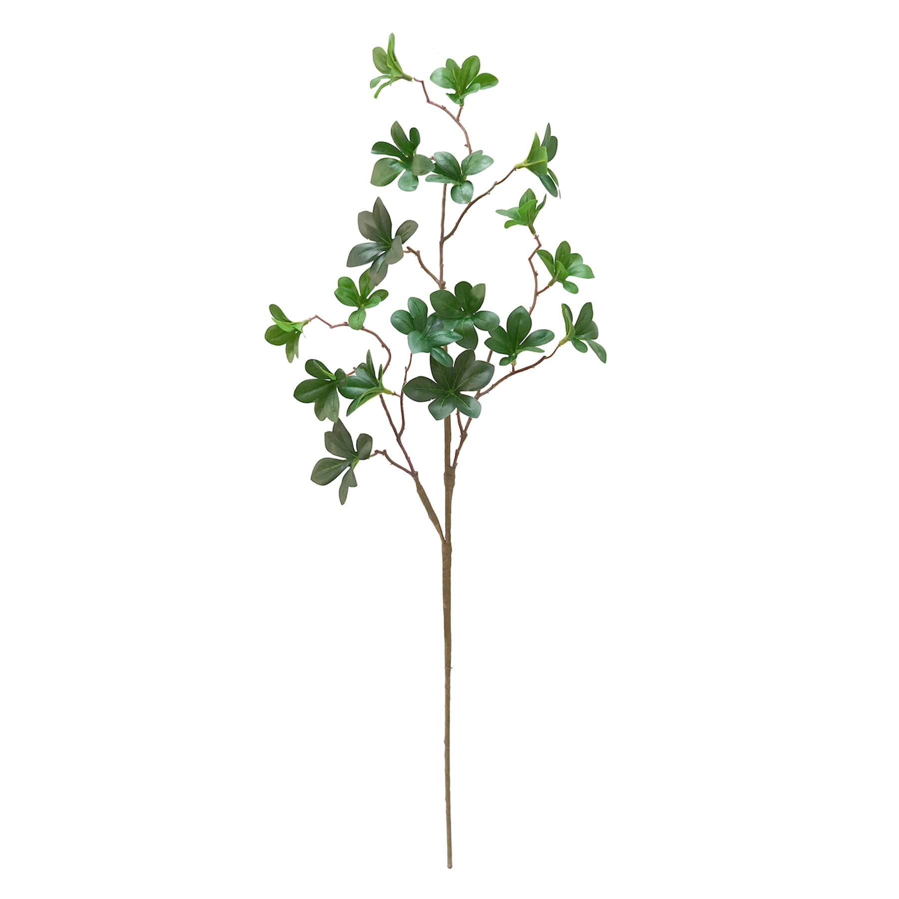 Willow Crossley Green Bell Leaves Stem, 29.5"