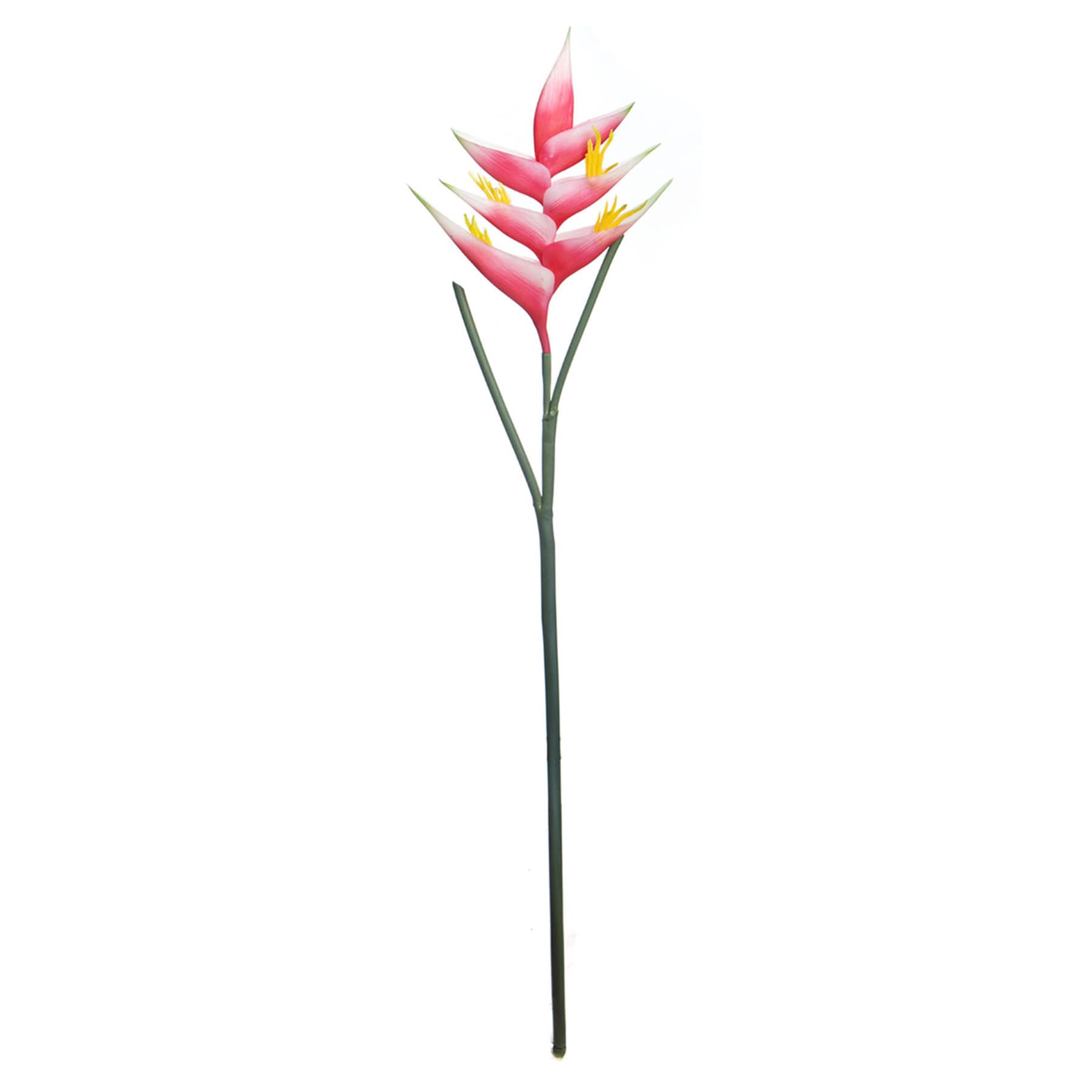 Helicopia Floral Stem, 34"