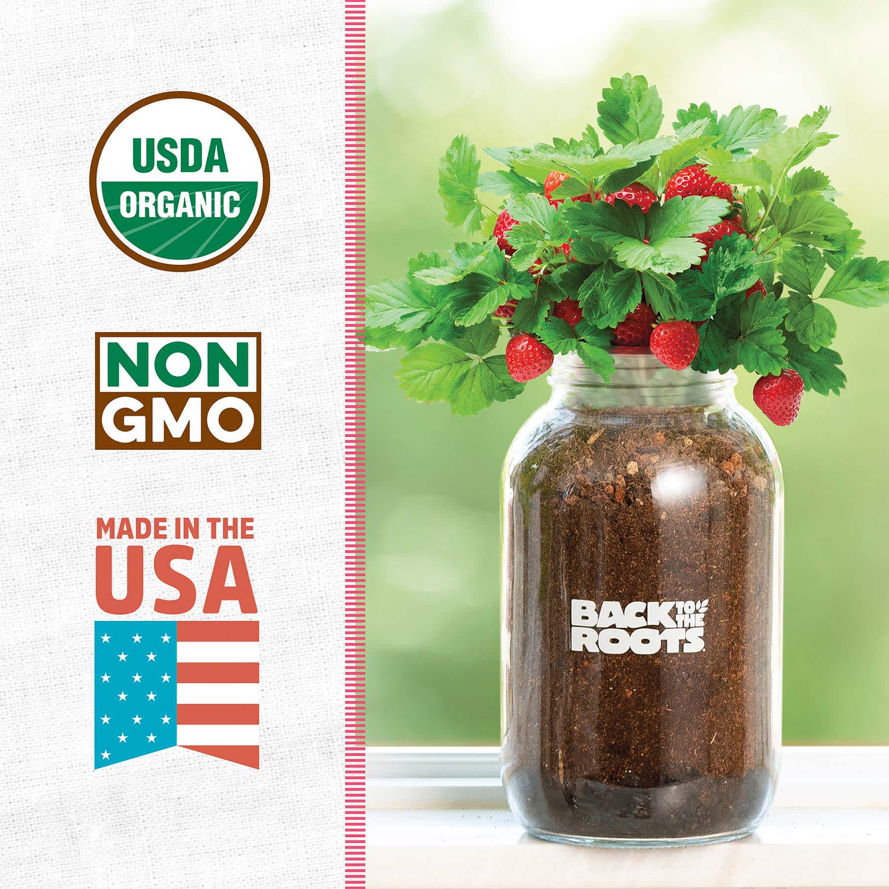 Back to Roots Windowsill Organic Strawberry Grow Kit