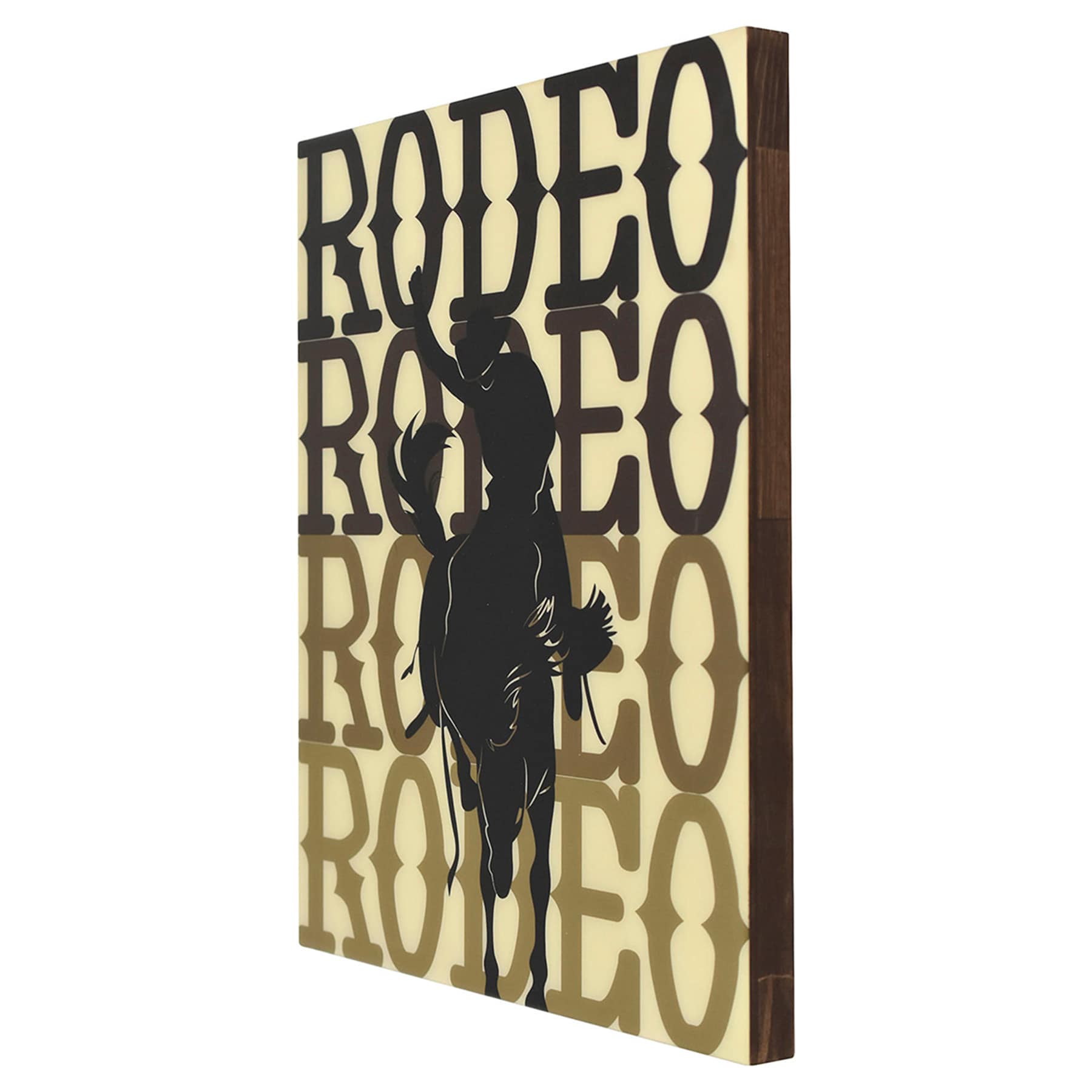 Ombre Rodeo Wall Art, 16x20