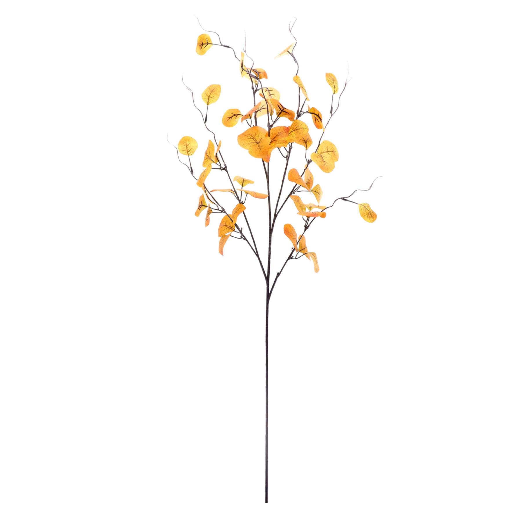 Large Orange Eucalyptus Stem, 40"