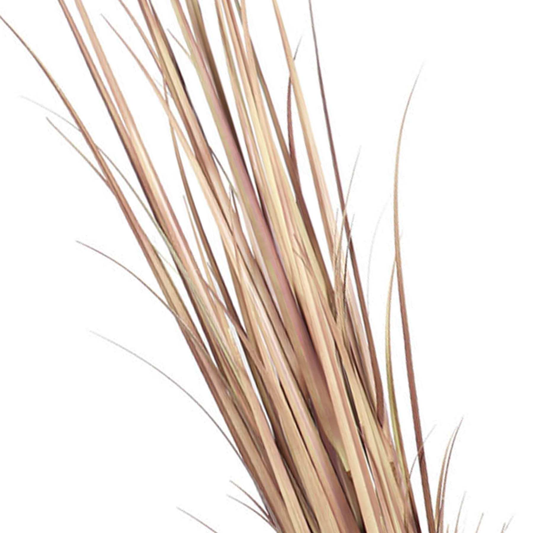 Dried Dark Grass Bundle, 5'