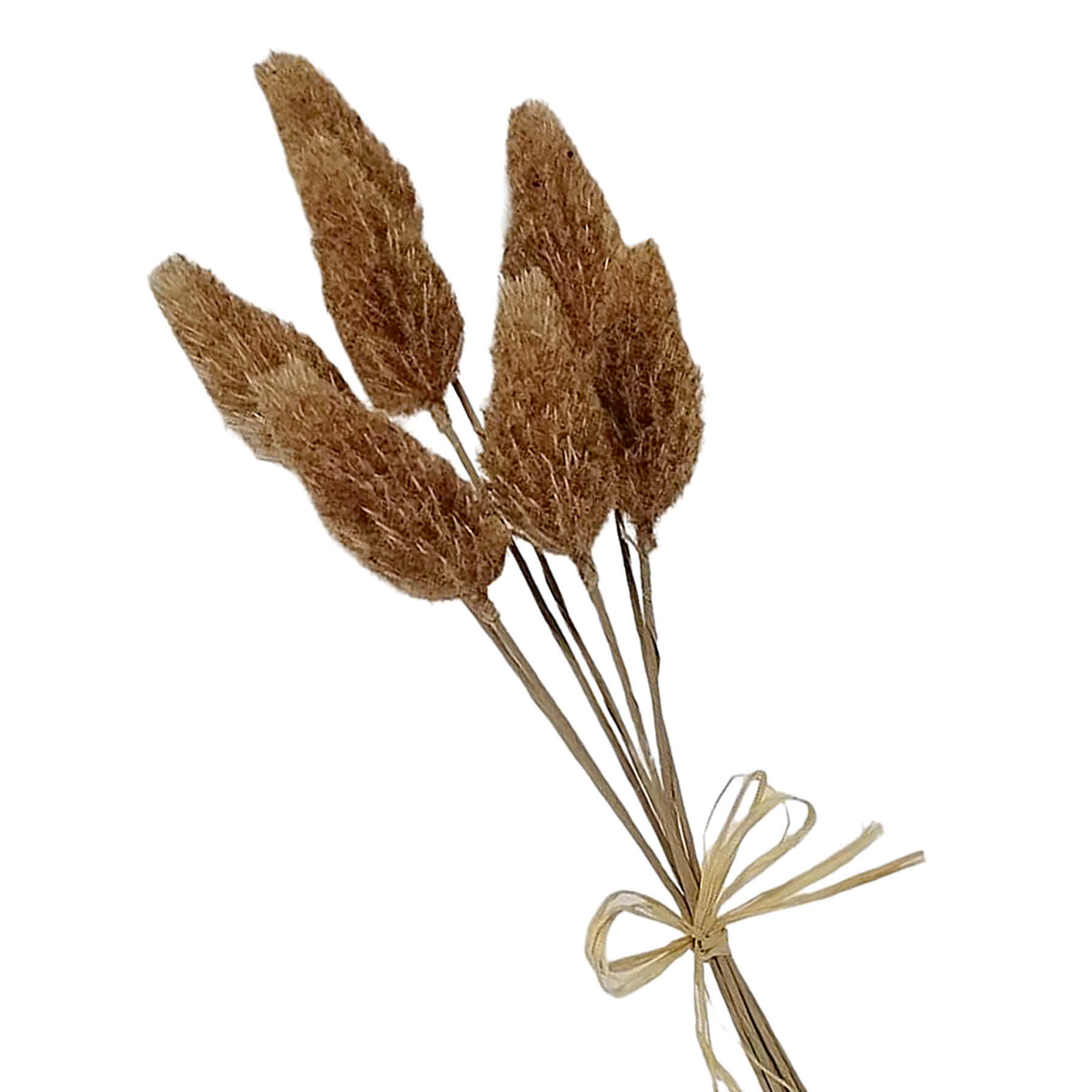 Honeybloom Brown Bunny Tail Bundle, 7"