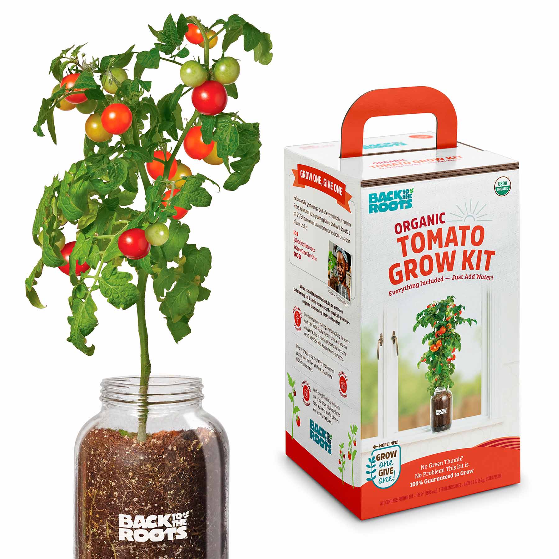 Back to Roots Windowsill Organic Tomato Grow Kit