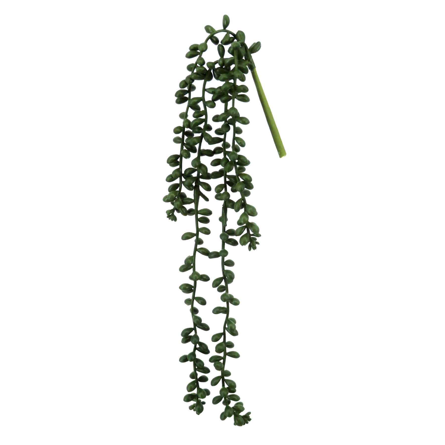 Green Nertera Berry Stem, 13.8"