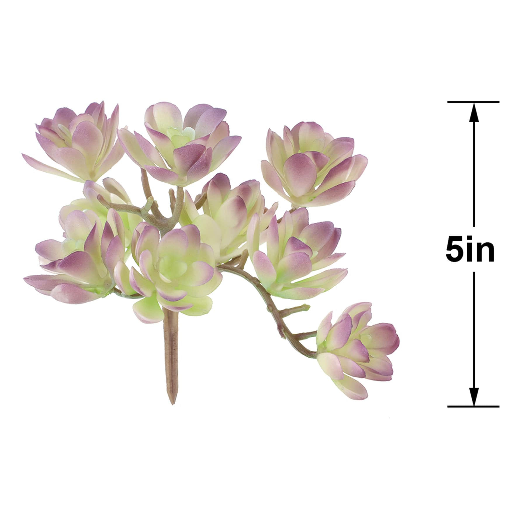 Purple Echeveria Pick, 5"
