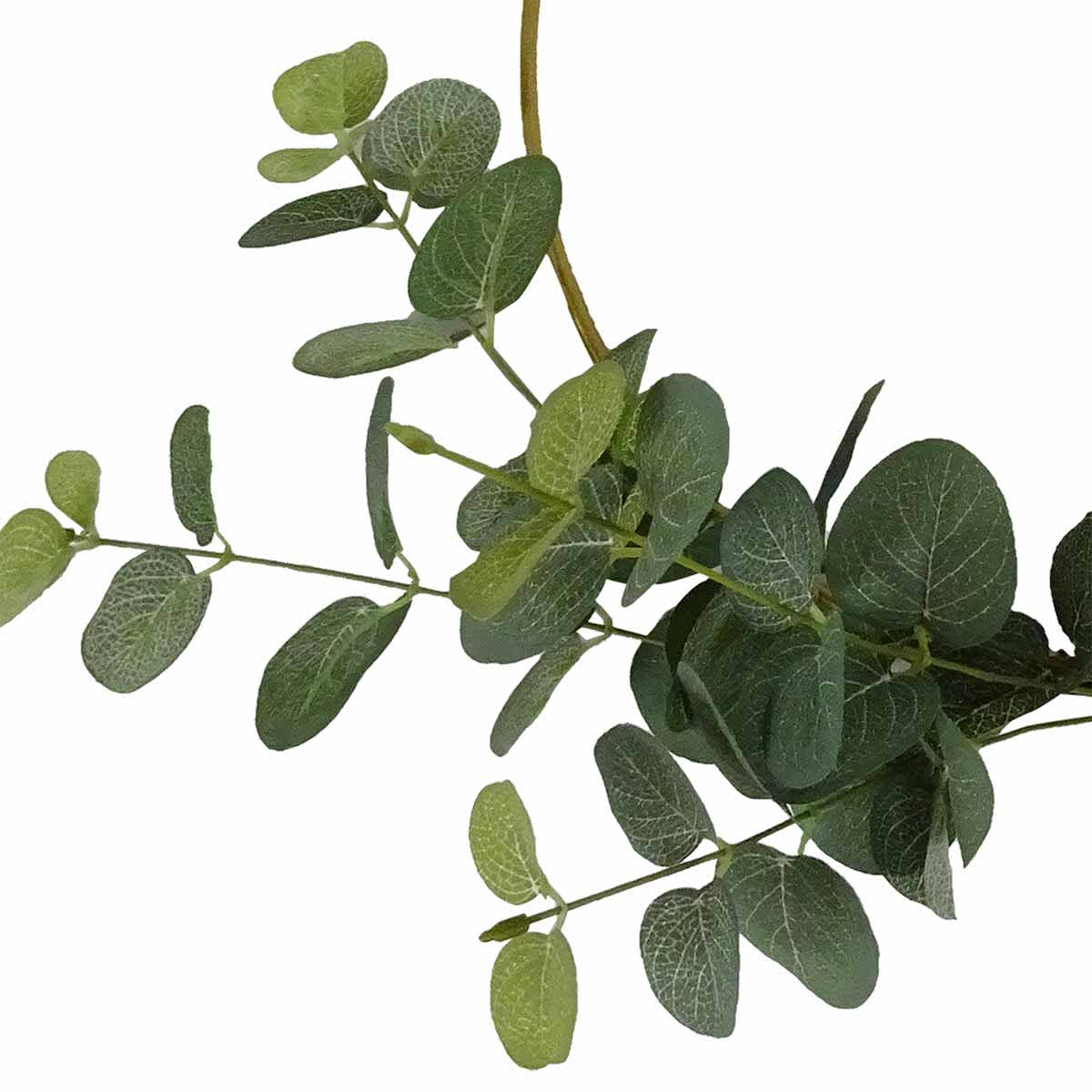 Eucalyptus Half Wreath with Gold Metal Hoop, 16"