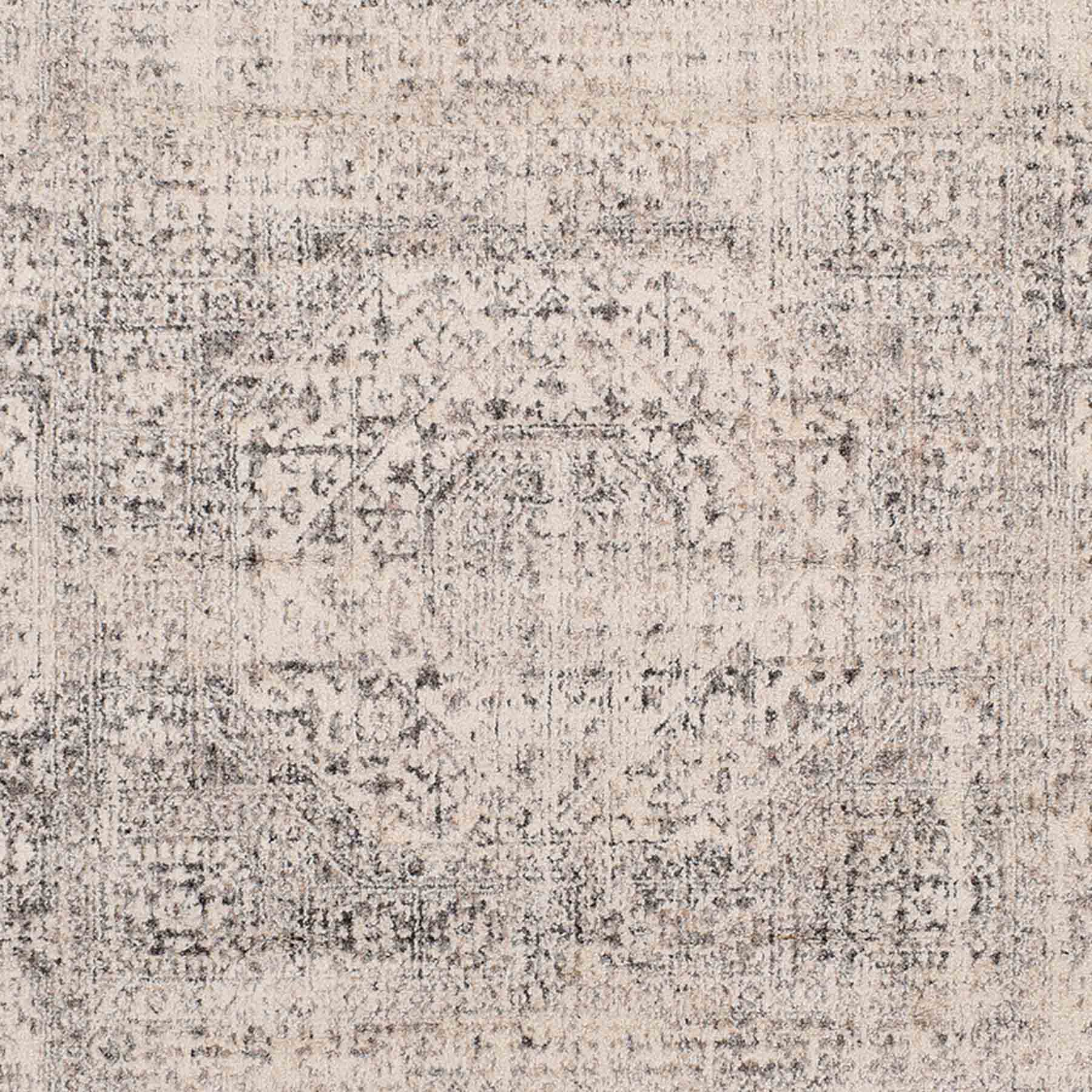 (B741) Firenze Neutral Traditional Area Rug, 5x7