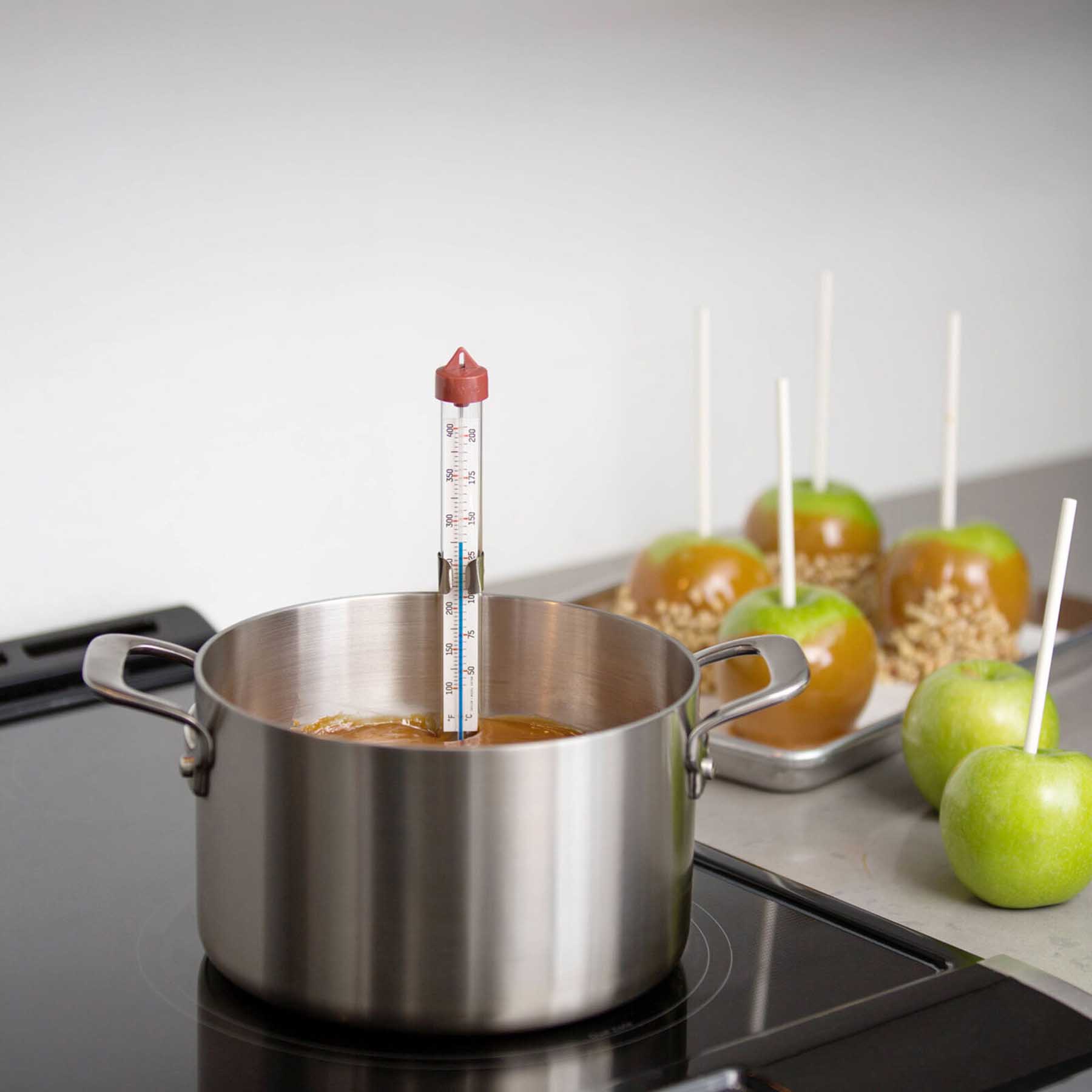 Taylor Red Tube Candy Deep Fry Thermometer