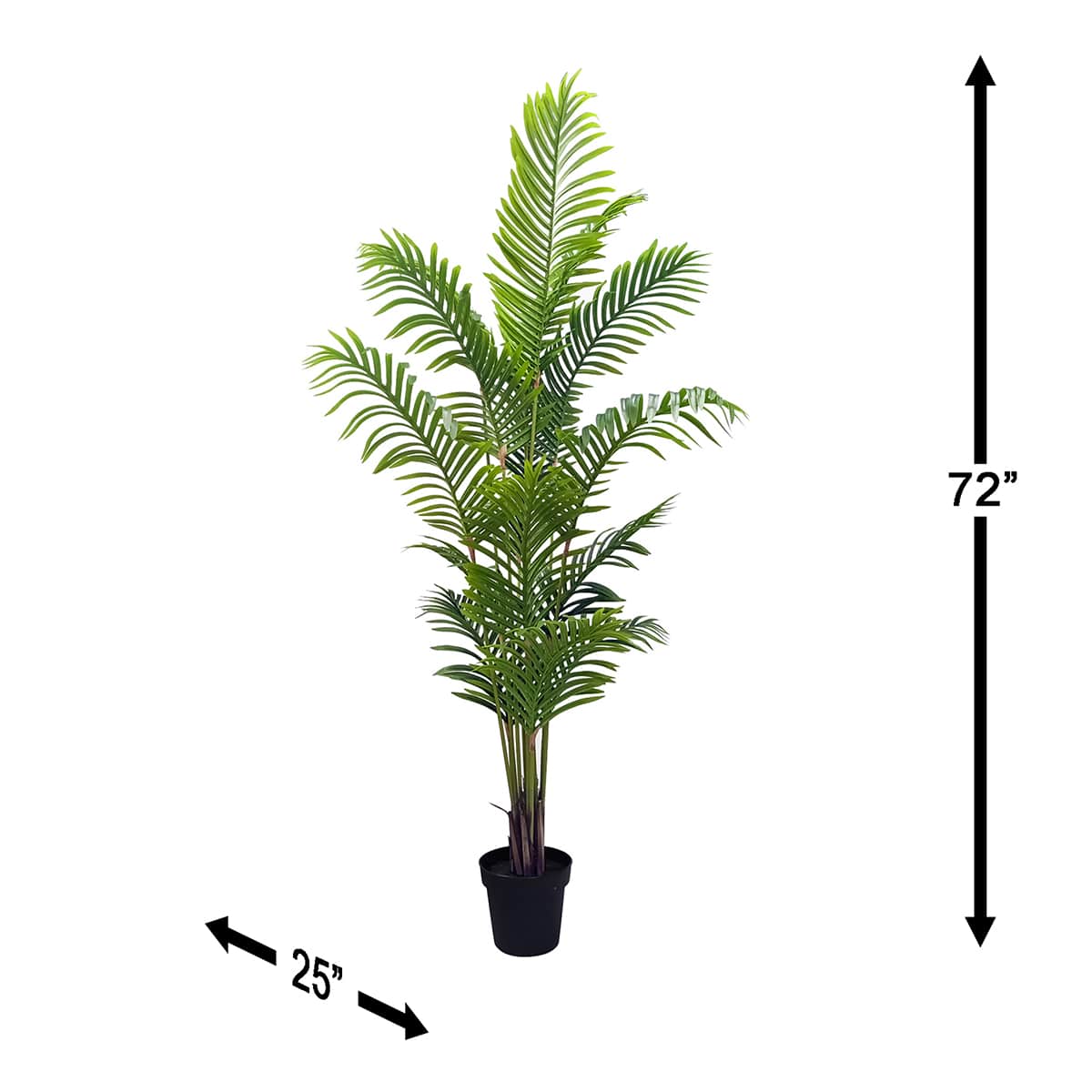 Potted Areca Palm Plant, 6'