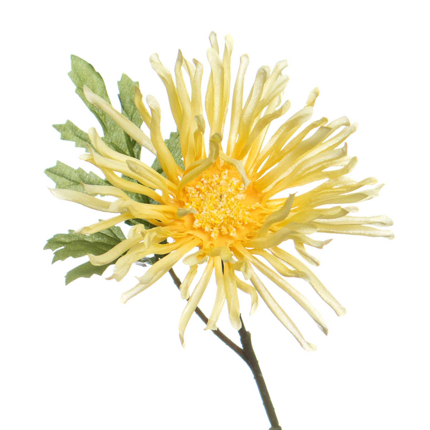 Yellow African Daisy Pick, 11"