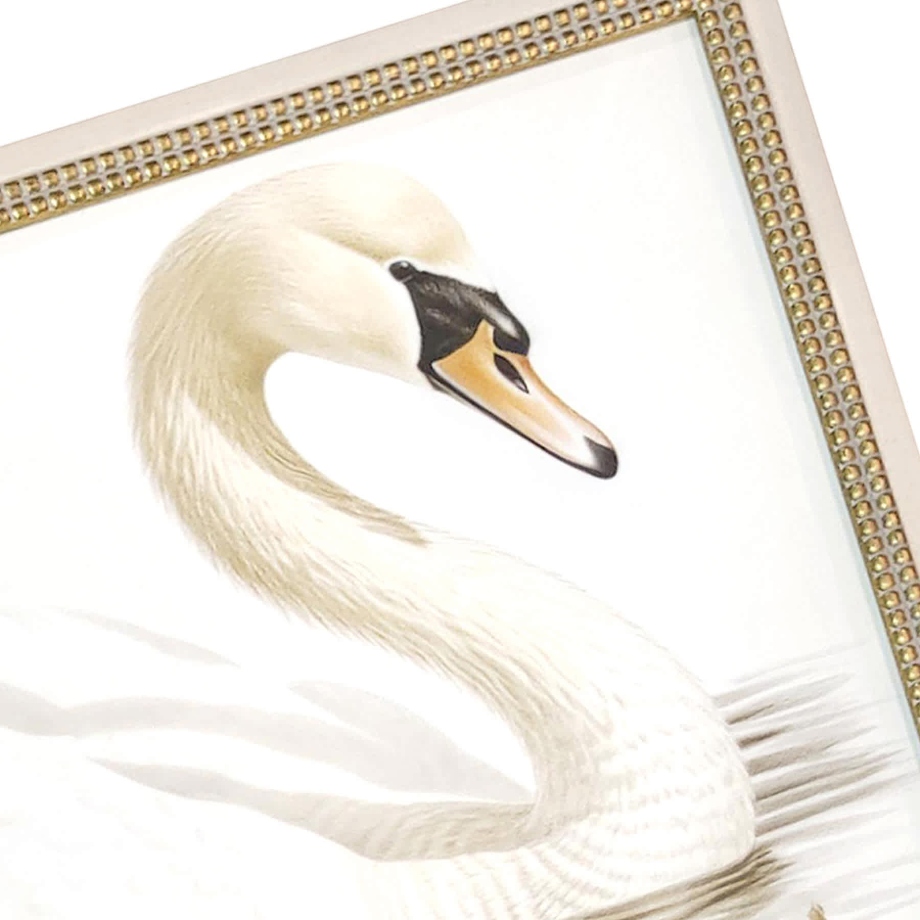Providence Glass Framed Vintage Swan Study Wall Art, 30x18