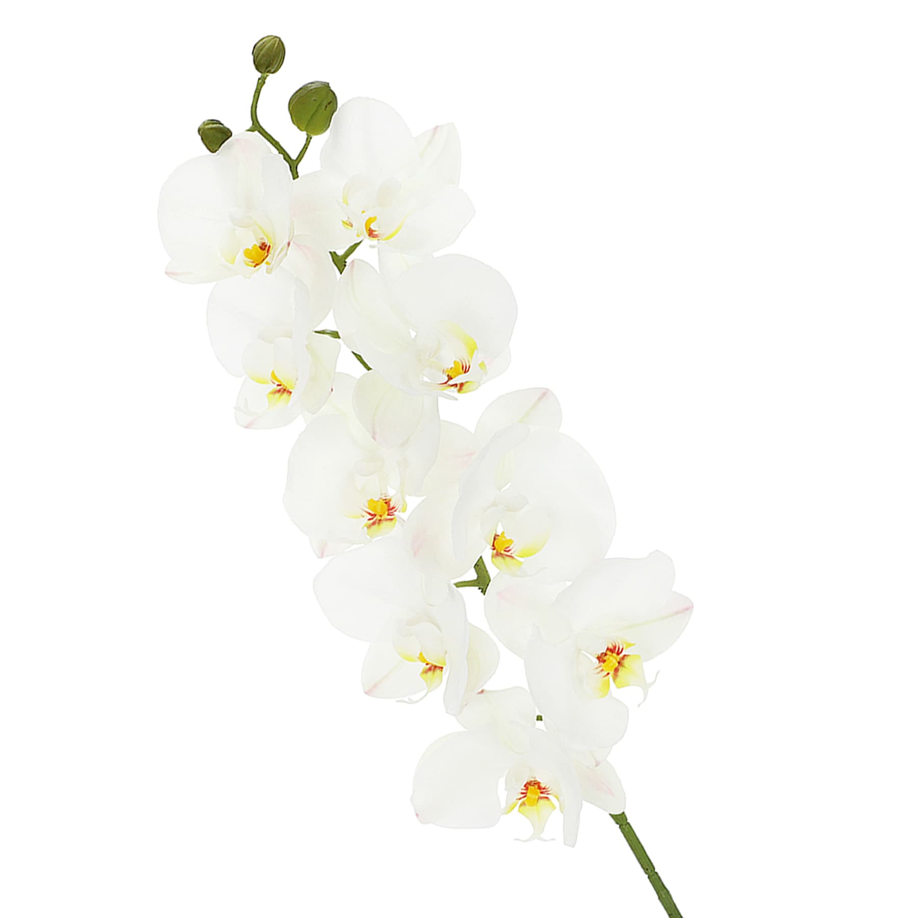 White Orchid Stem, 29.5"