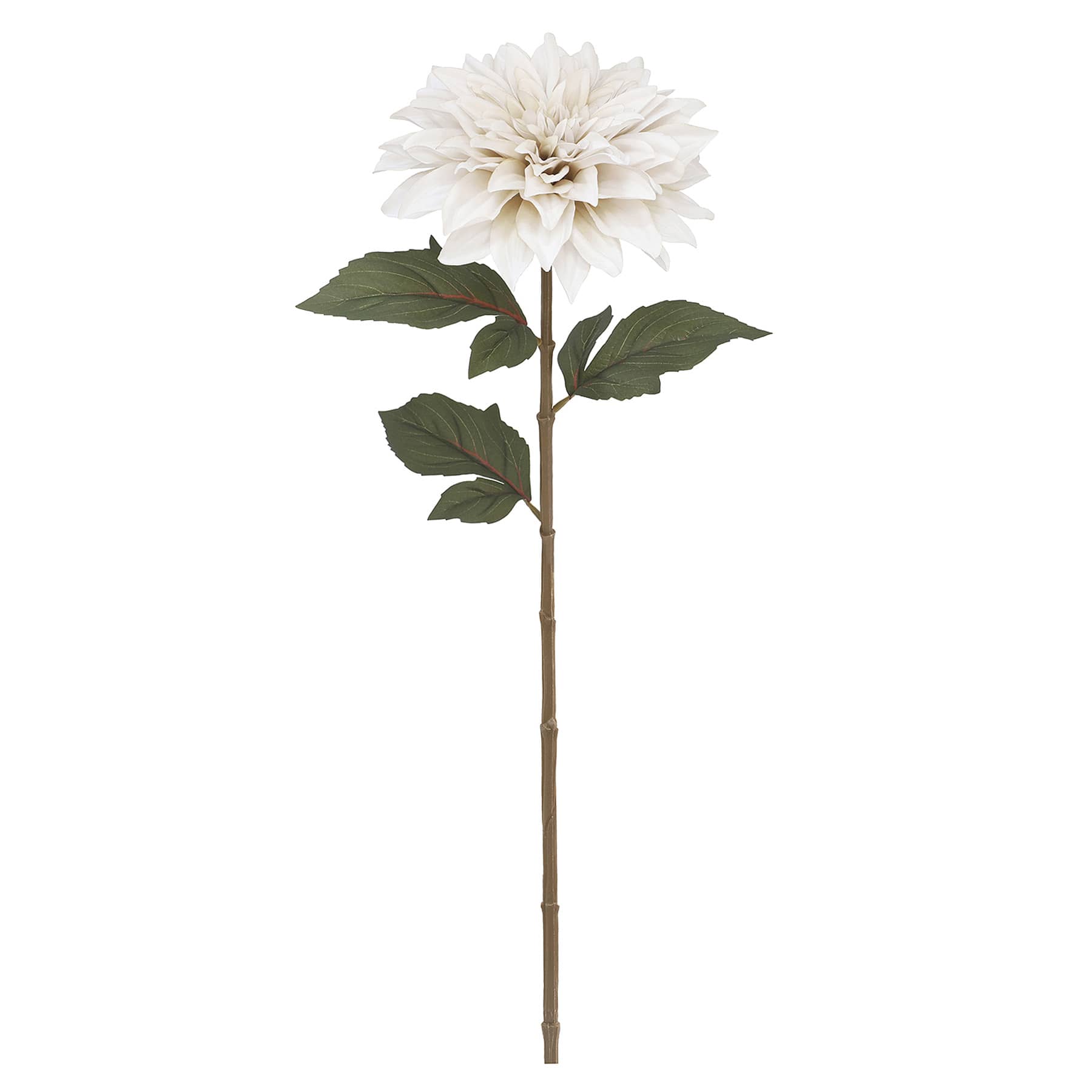 Dahlia Stem, 25"