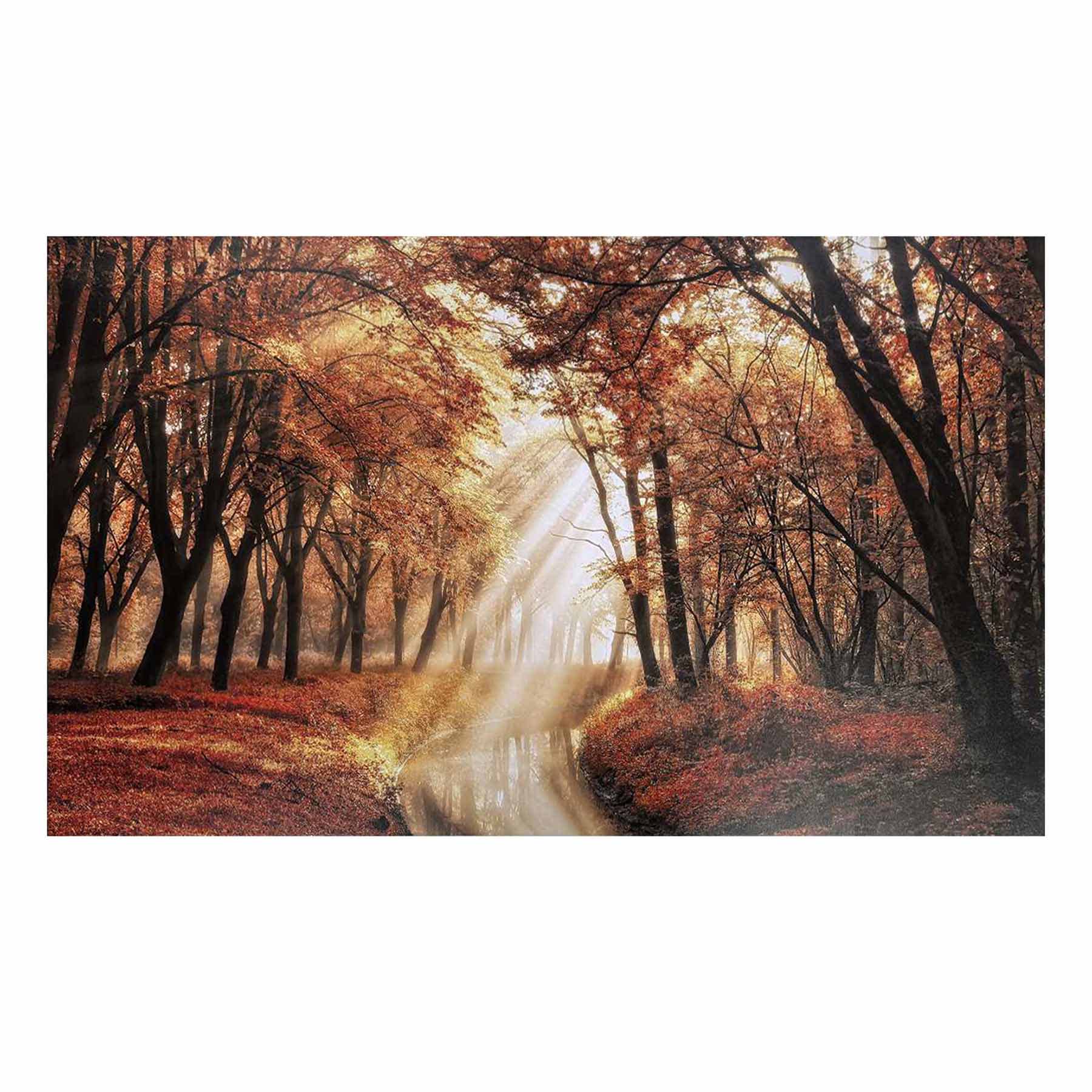 Sunlit Forest Canvas Wall Art, 60x35