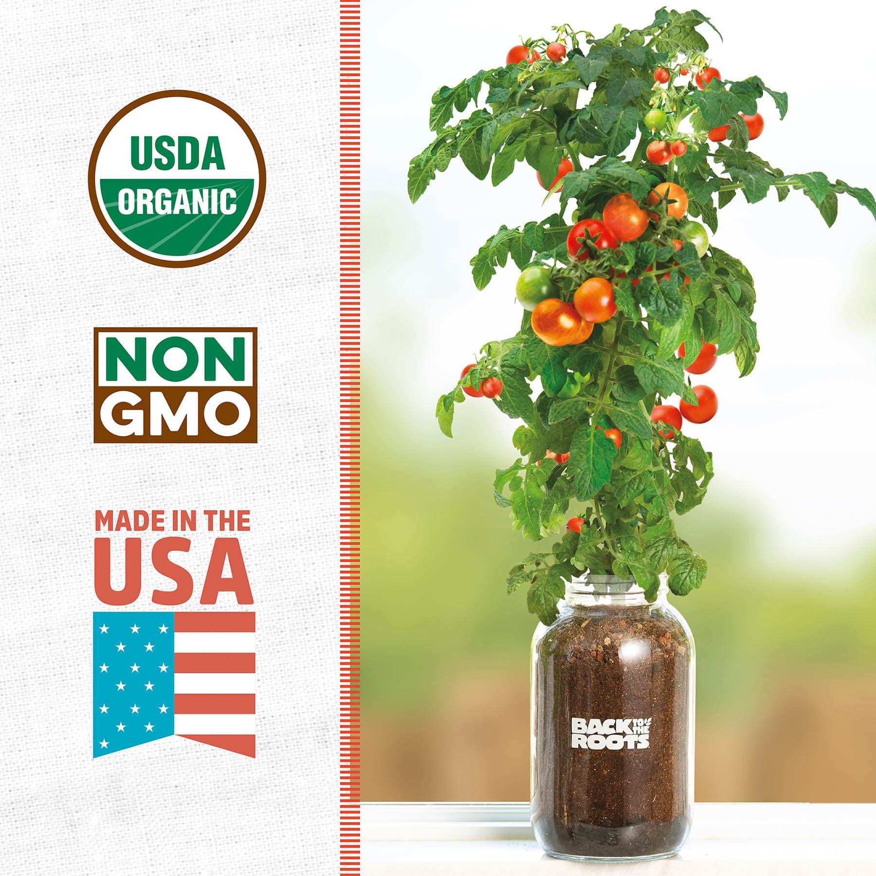 Back to Roots Windowsill Organic Tomato Grow Kit