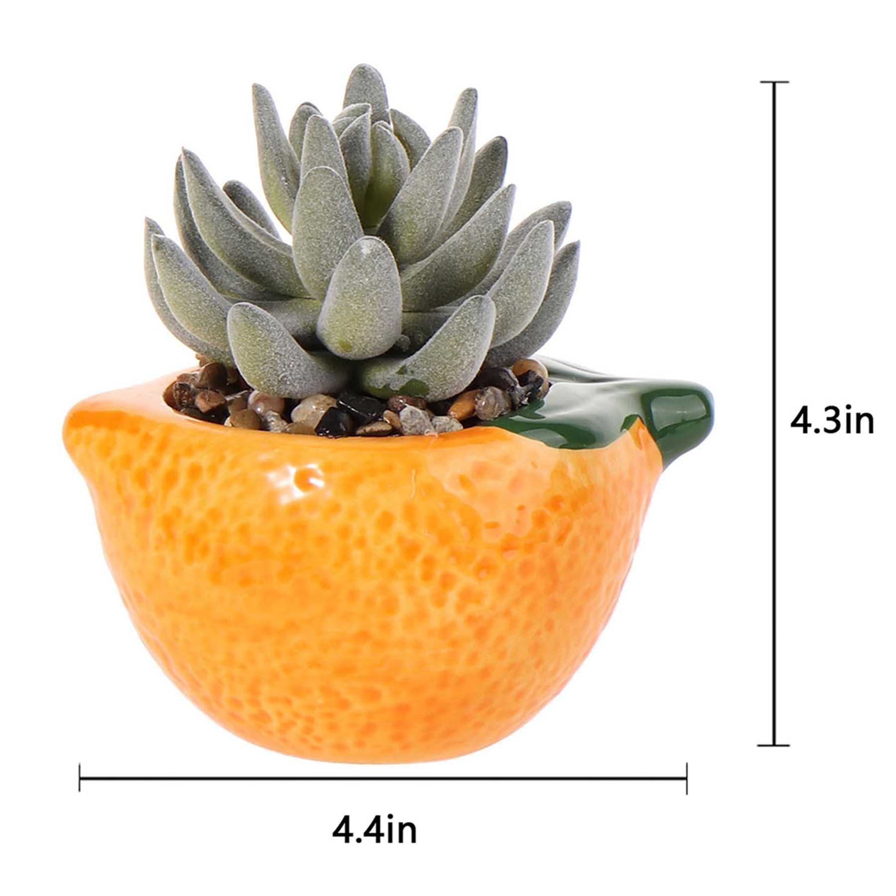 Mini Succulent in Orange Vase
